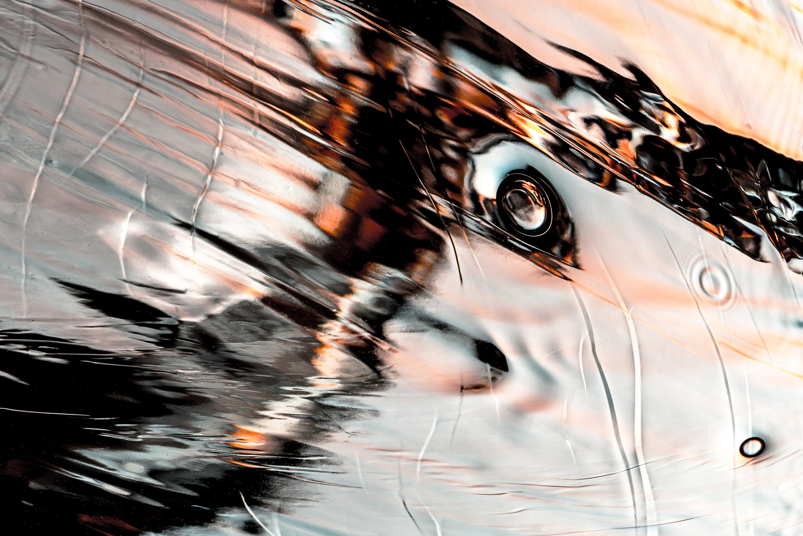 Вода и свет. Скульптуры из воды Сергея Толмачева