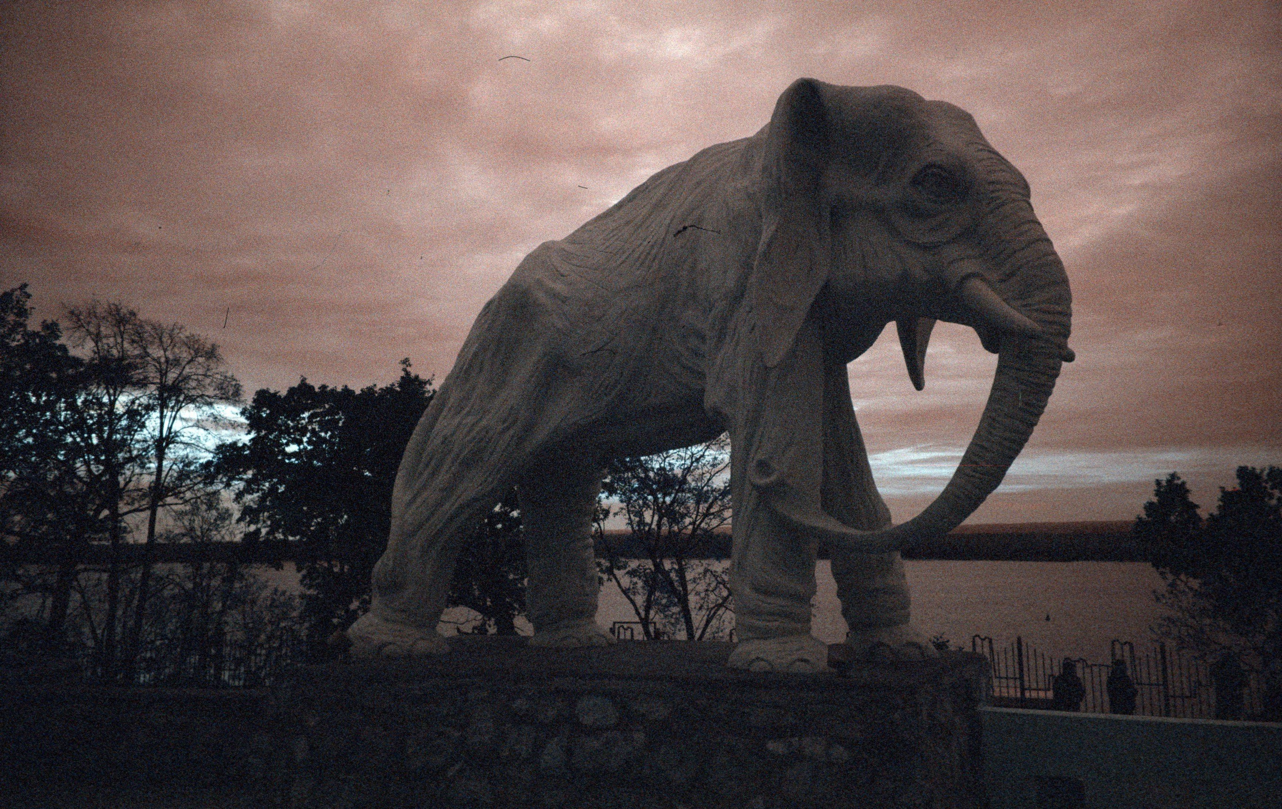 Макаров Сергей | Креативный продюсер