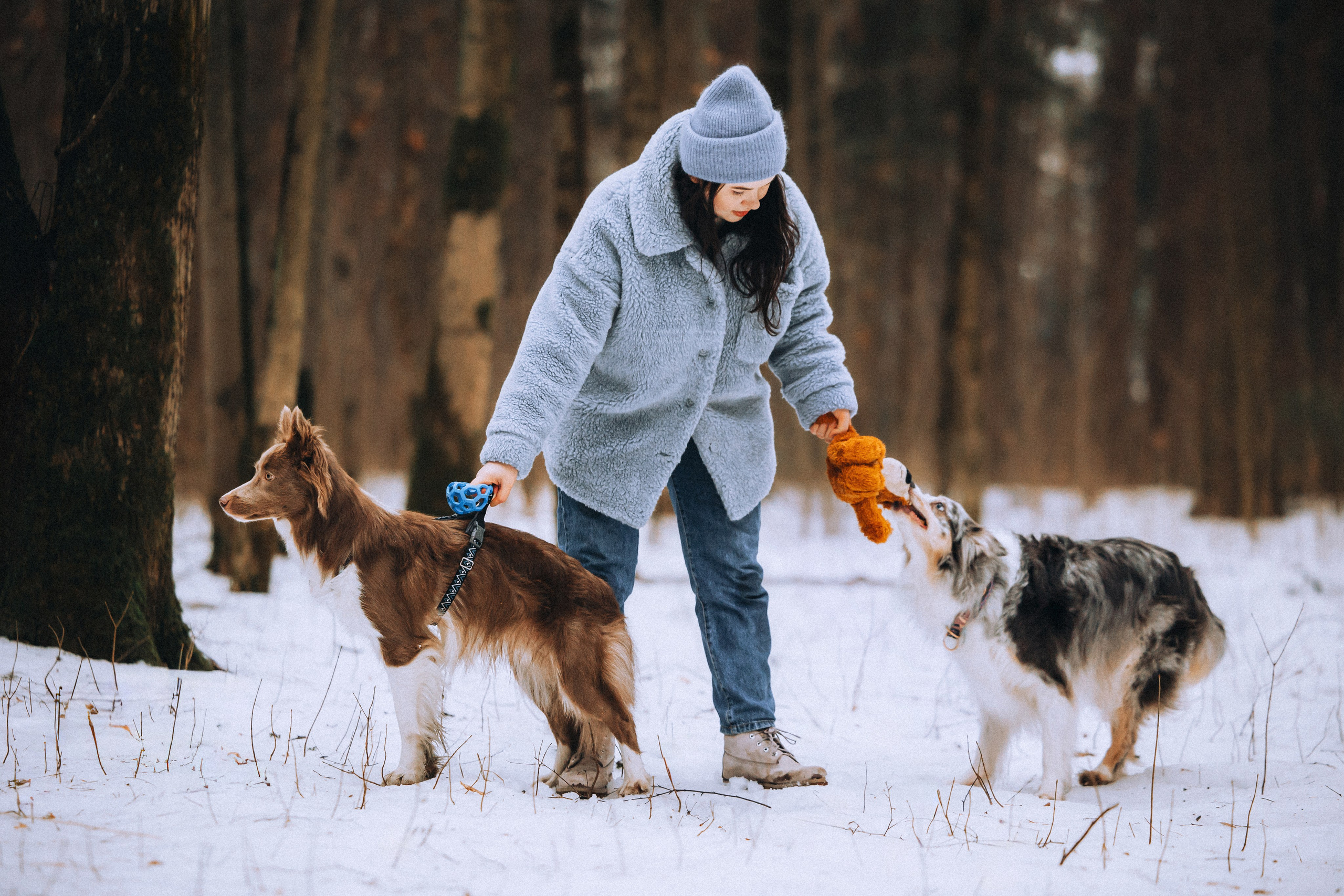 Полина, Милли и Паддингтон