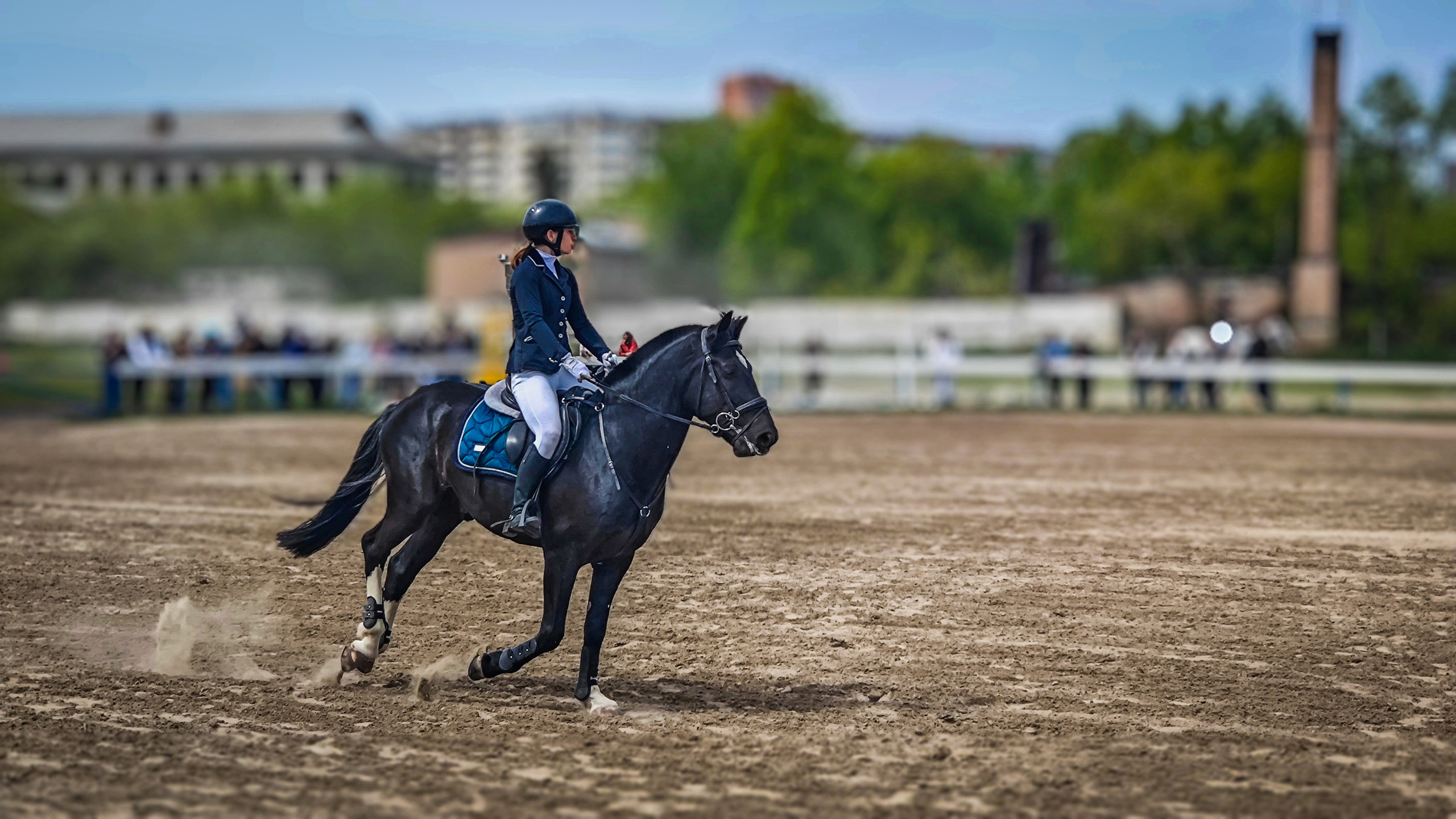 Красноярский ипподром. Открытие сезона 2025. Игорь Урывский. Фотограф Красноярск