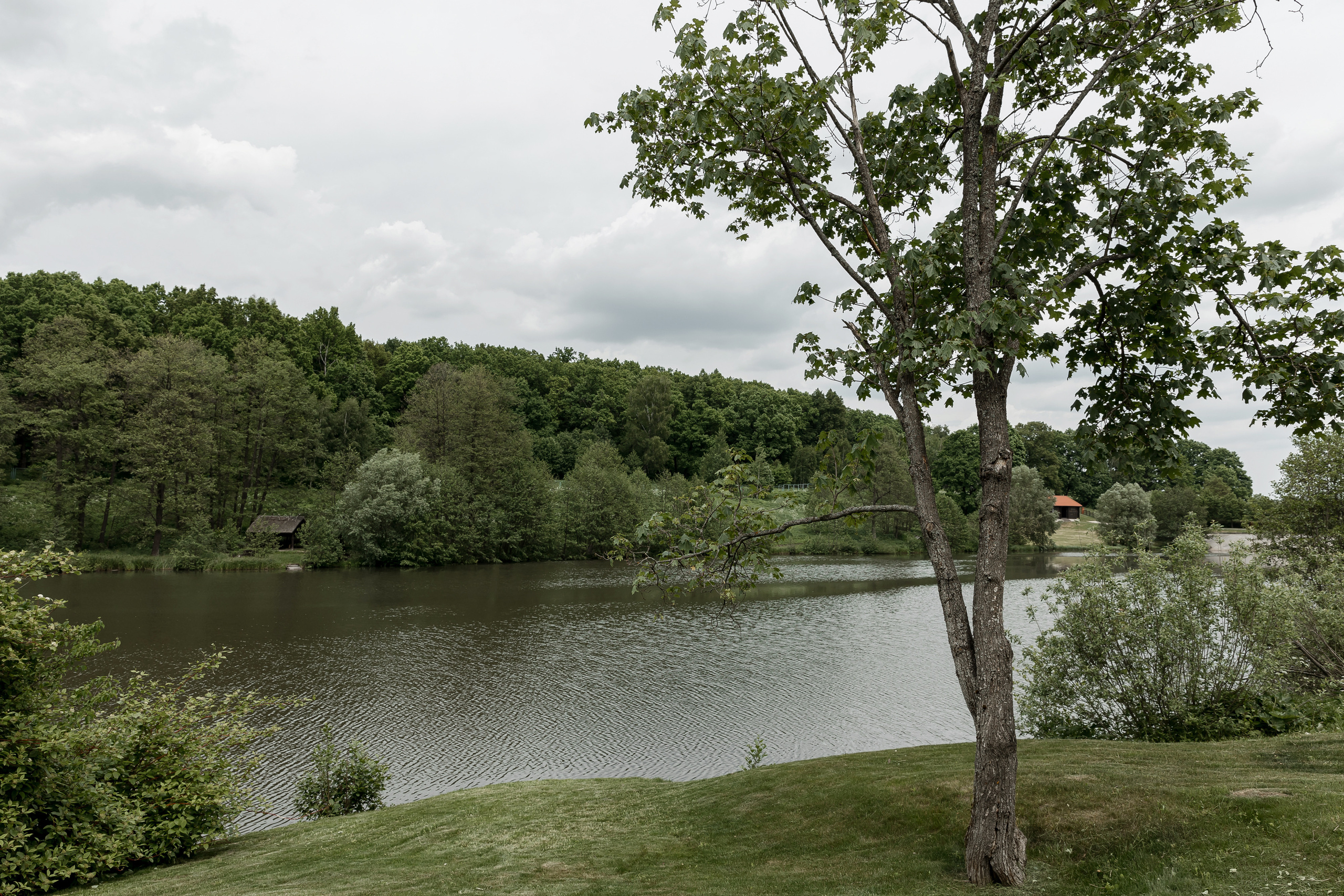 Wedding day Денис и Александра. Свадебный фотограф Колесников Антон