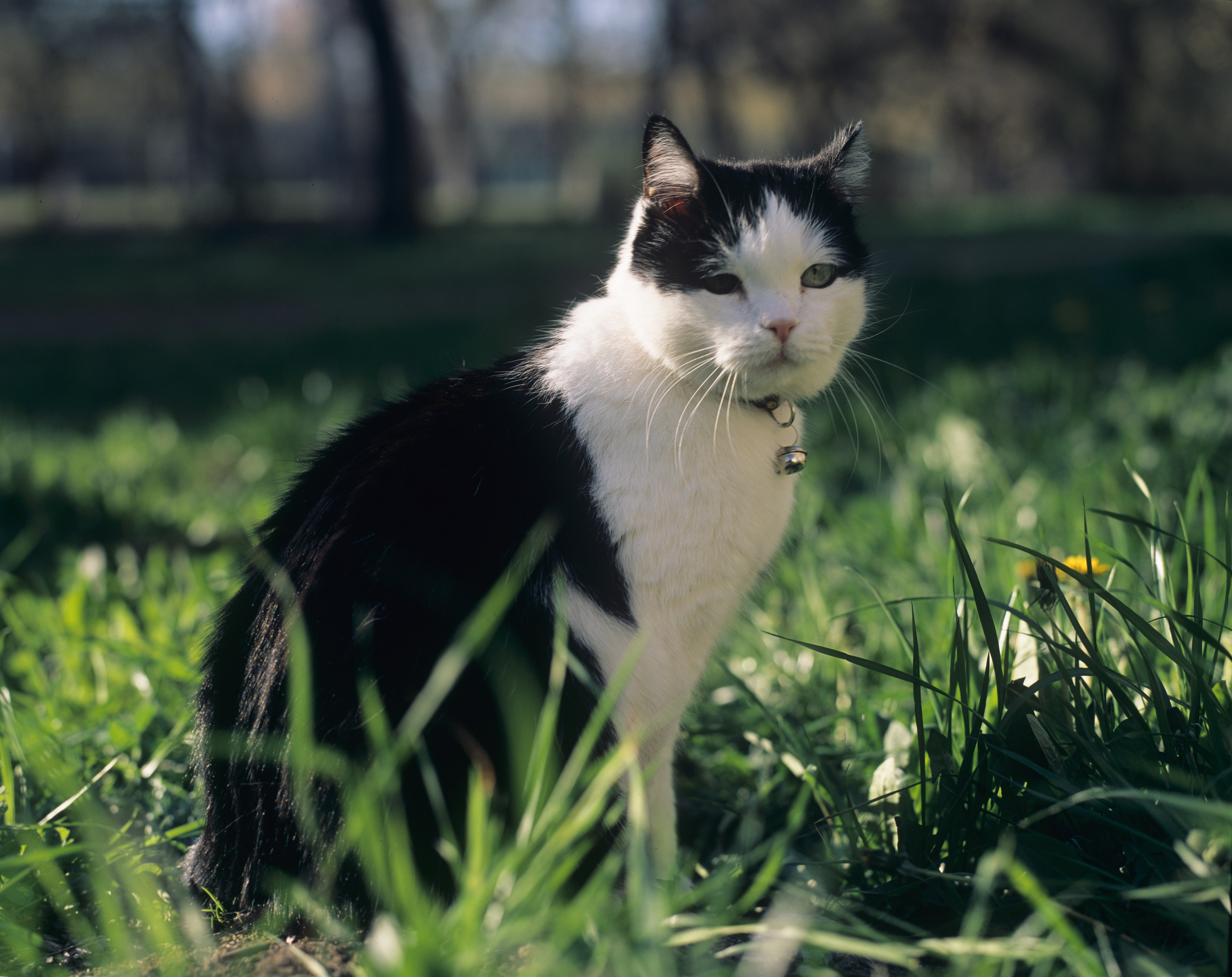 Василий. Фотограф в Санкт-Петербурге Березовский Даниил