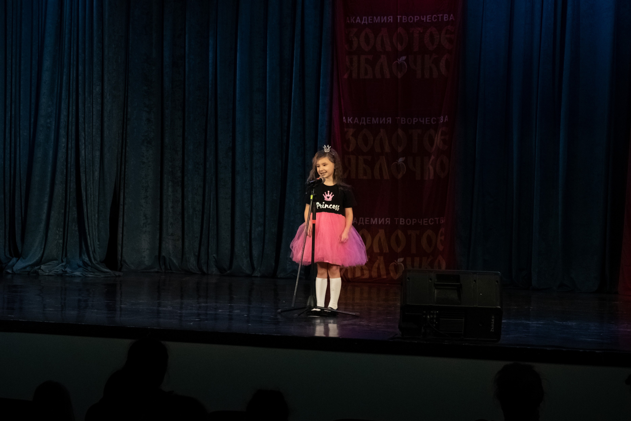 7 декабря, г. Выборг. Золотое яблочко