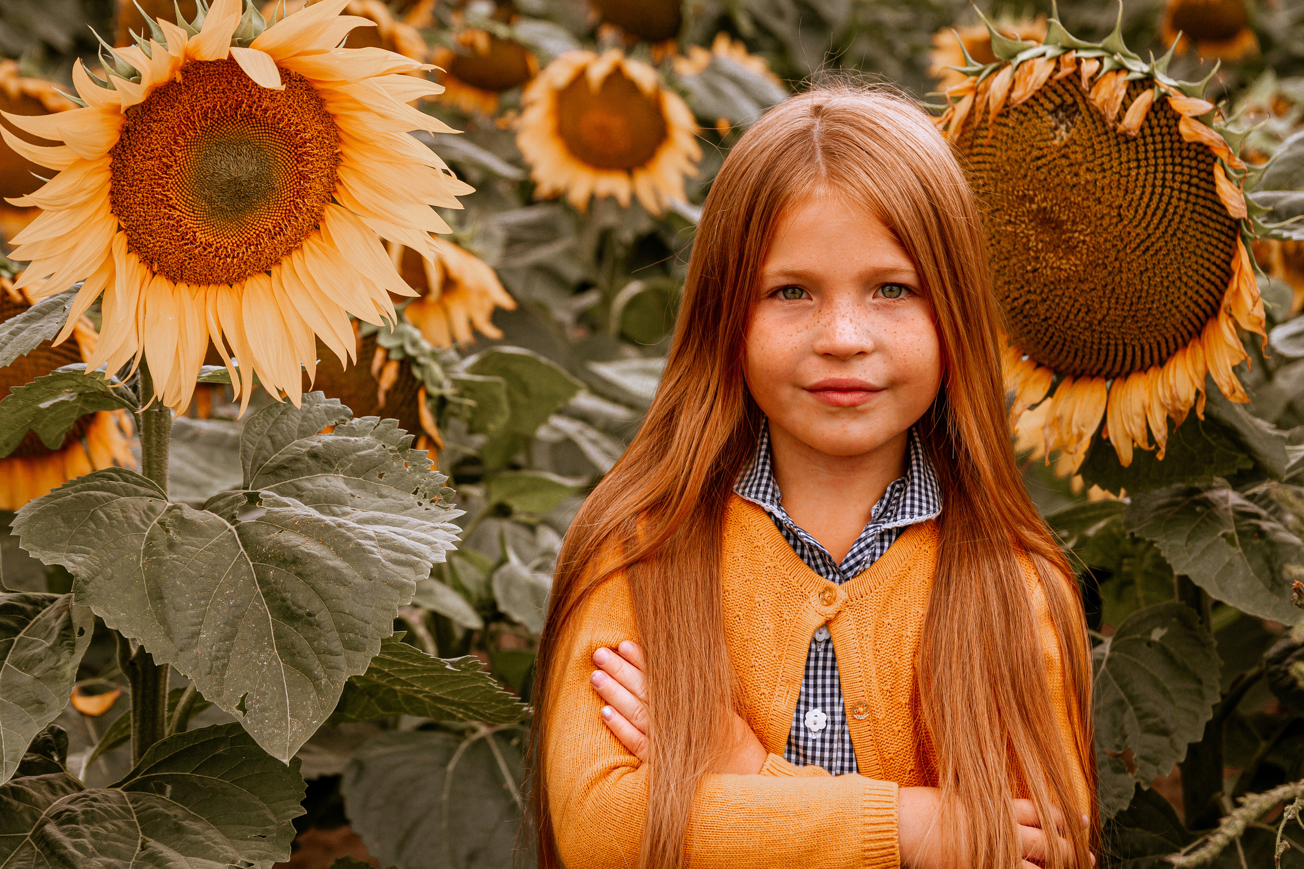 Семейные/индивидуальные. Фотограф Инна Нестер