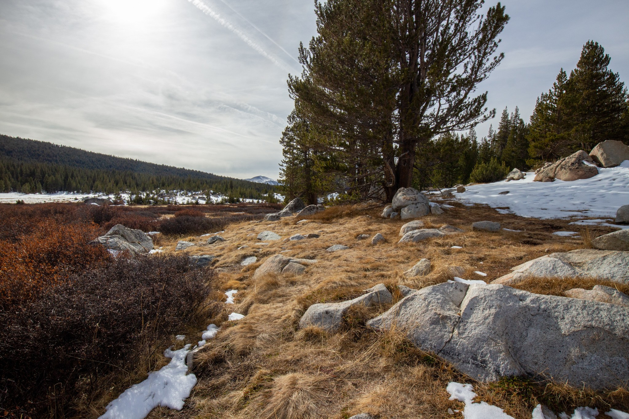 Парк Yosemite, США, 2013. Фотограф Василий Буланов