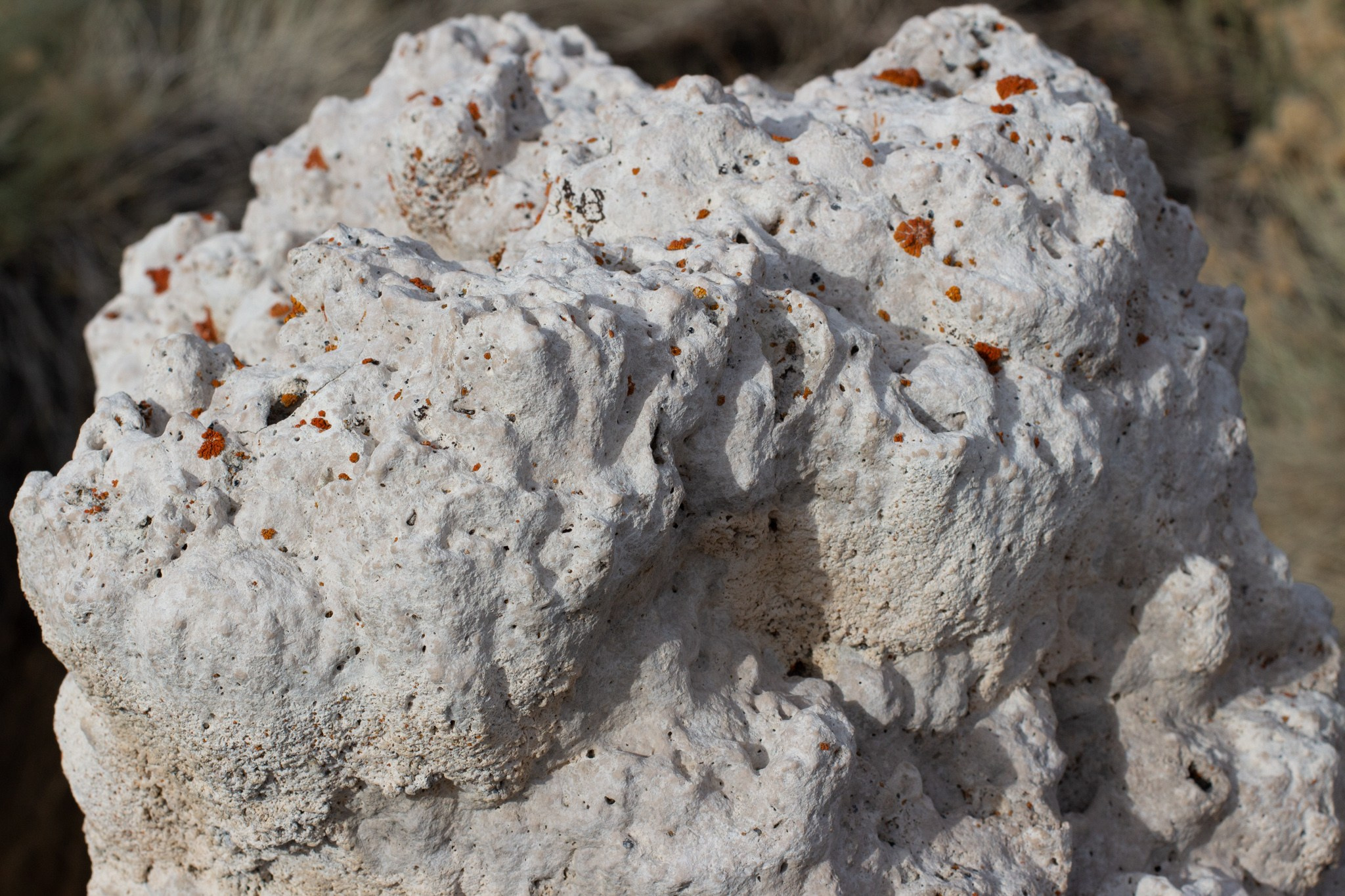 Озеро МОНО, США, 2013. Фотограф Василий Буланов