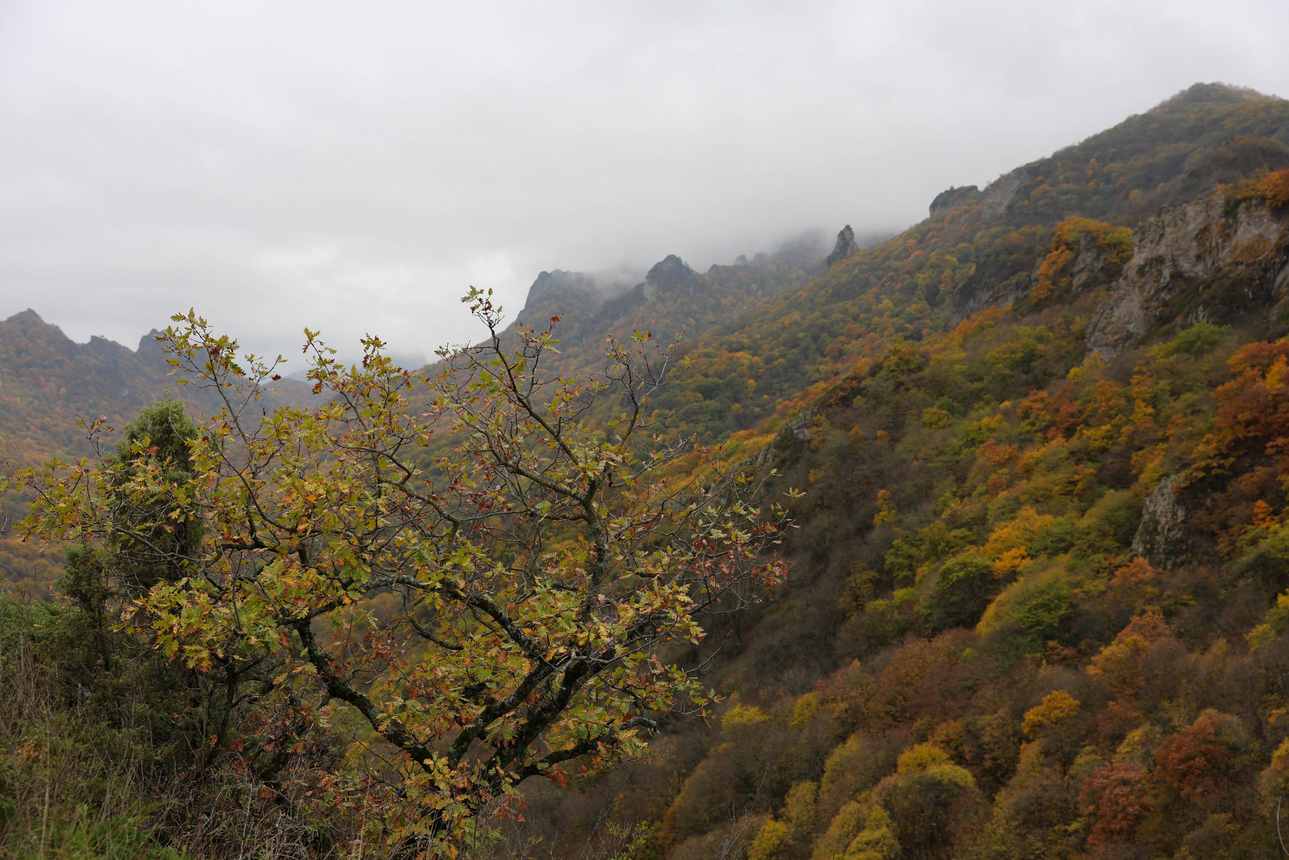 Фотограф Мария Алексеева. Мария Алексеева. Фотограф в Москве