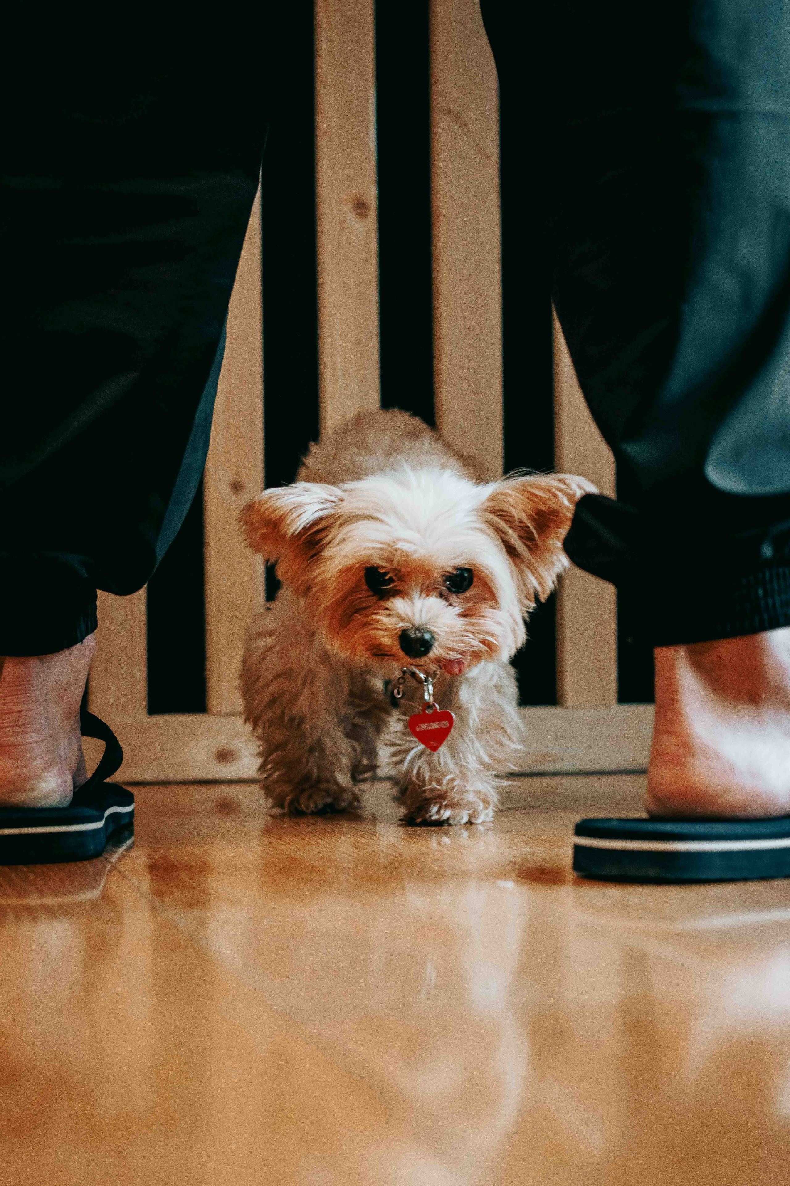 Практики на гвоздях. Вторая международная конференция|19.10.2024. Фотограф Аннё| Москва