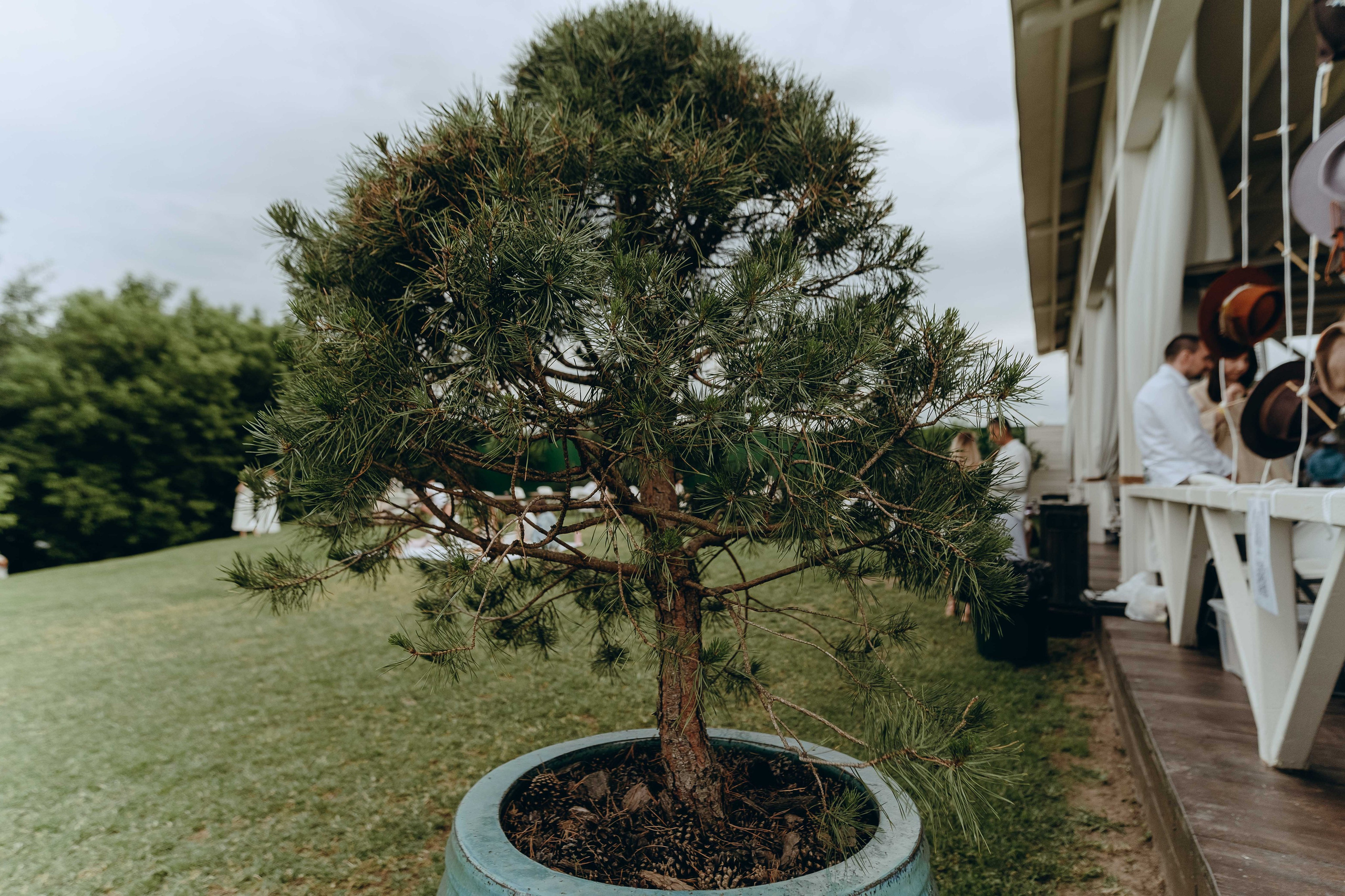 ECSTATIC WHITE 2025. Фотограф Аннё| Москва