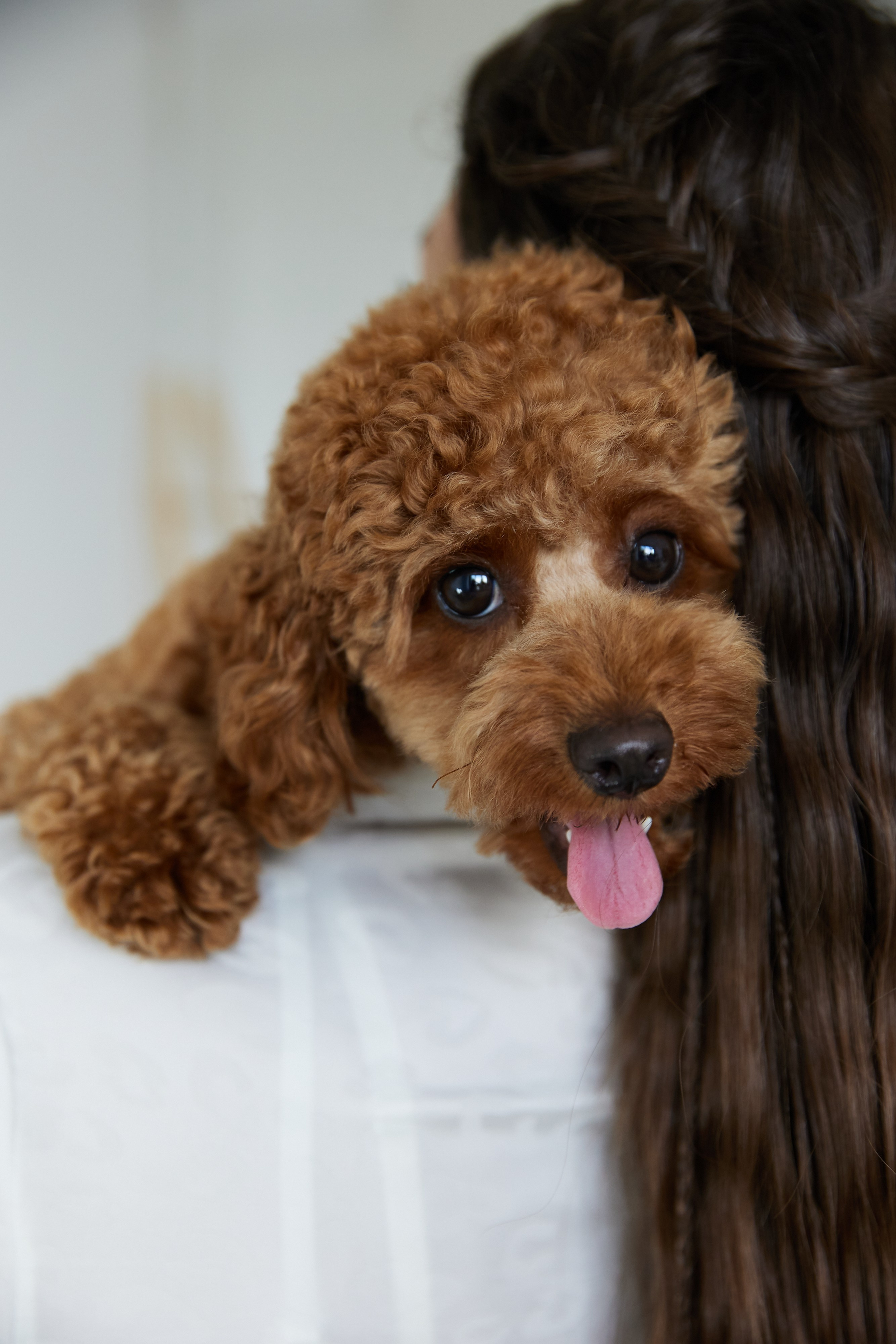 Илья & Илона. Фотограф Сергей Гончаренко — Краснодар, Донецк, Ростов, Сочи