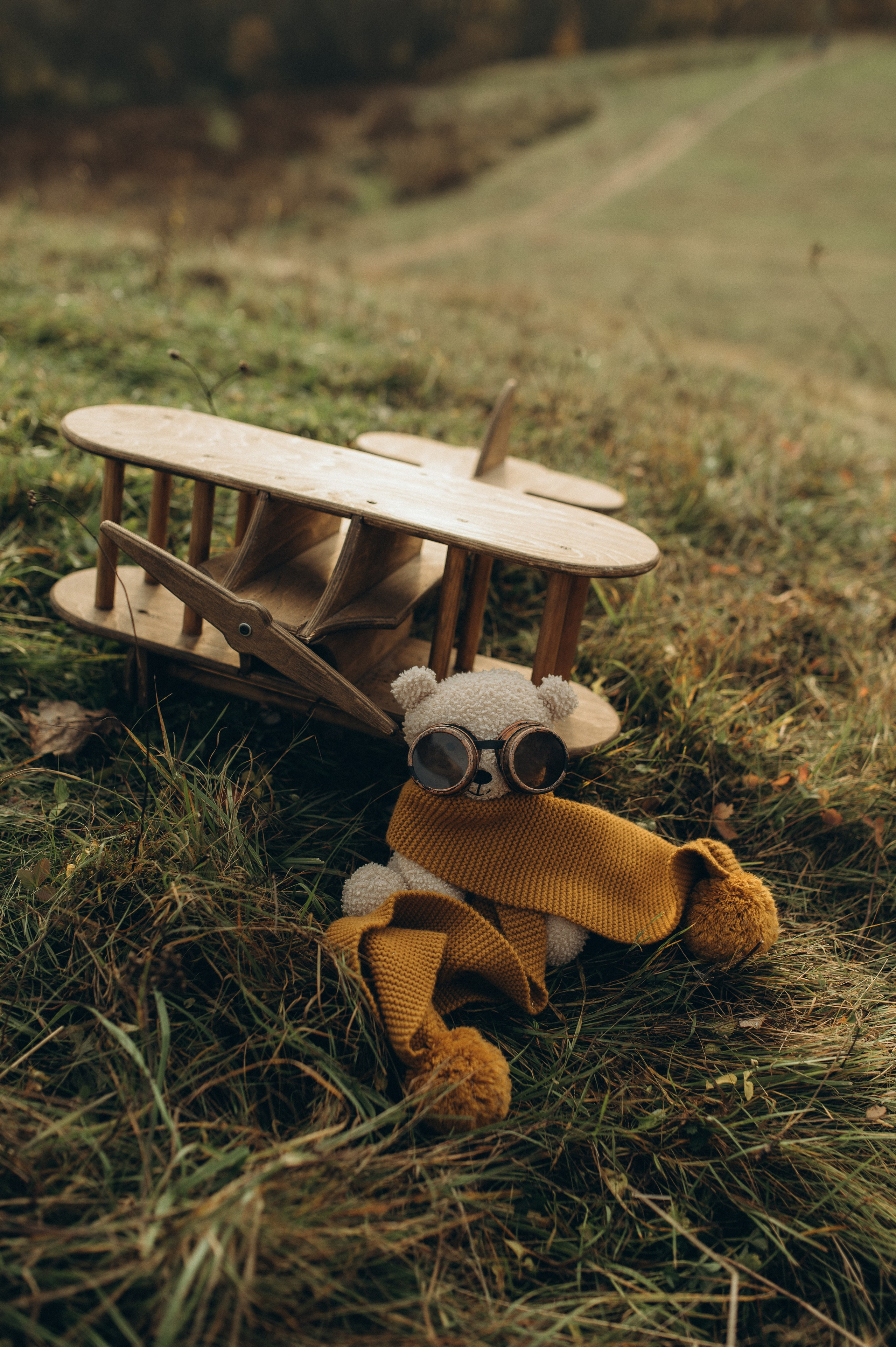 Тёплая осень. Фотограф Быстрова Дарья г. Москва