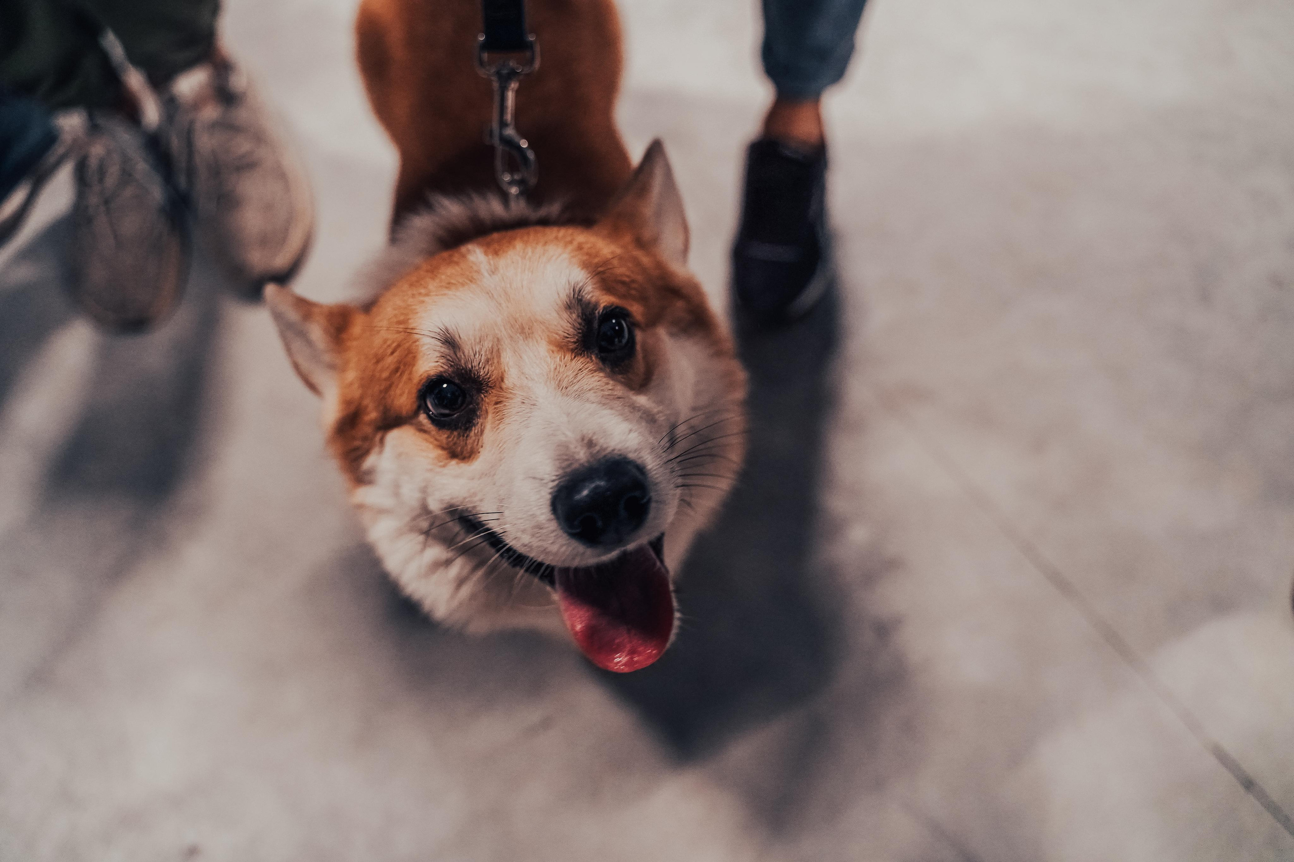 Low To Fun, 2020. Ytsaot — фотограф в Хабаровске Максим Ткачев