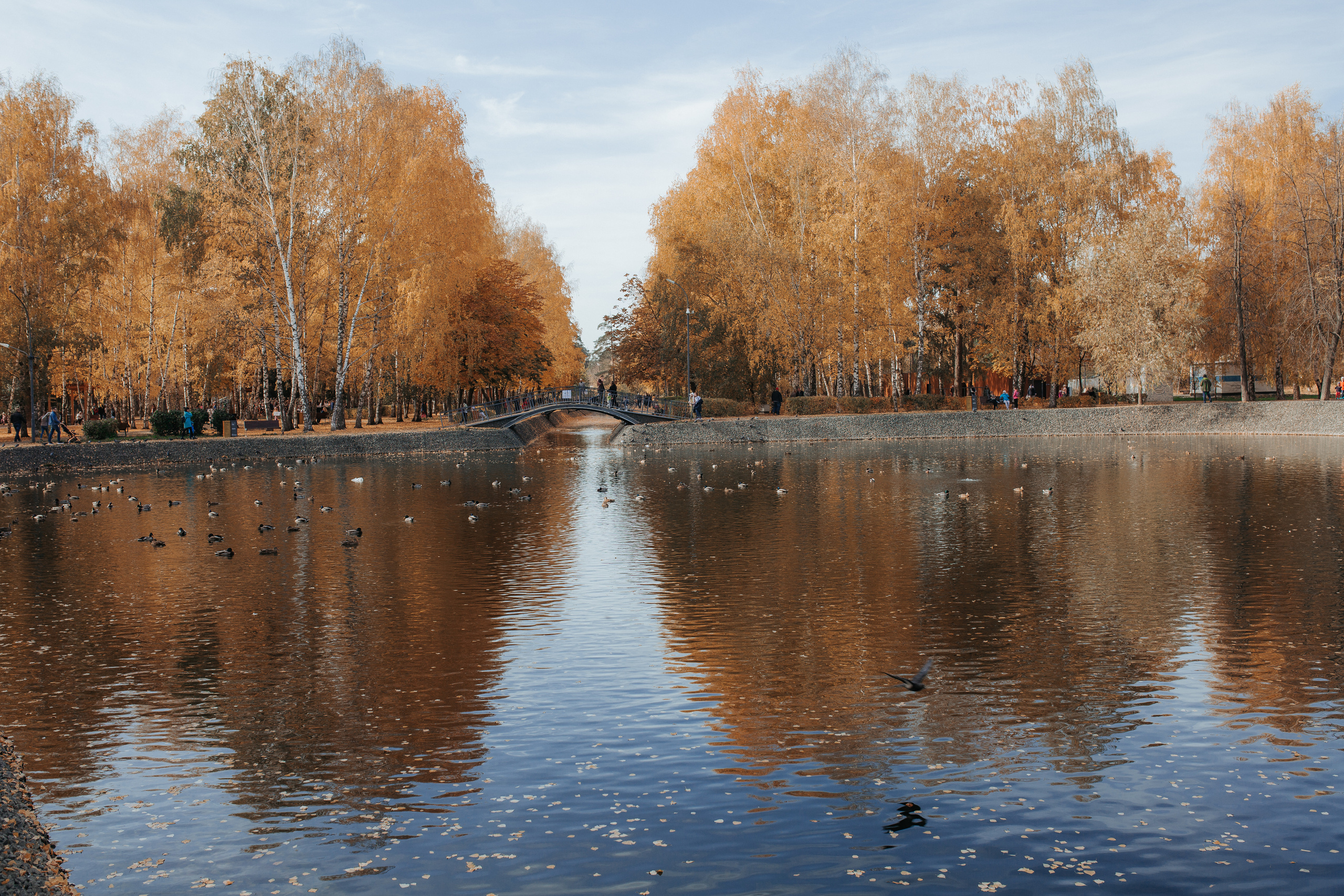 Анатолий и Карина I КАЗАНЬ I 10.10.2020. Свадебный, семейный фотограф в Дзержинске, Нижнем Новгороде Наталья Хр