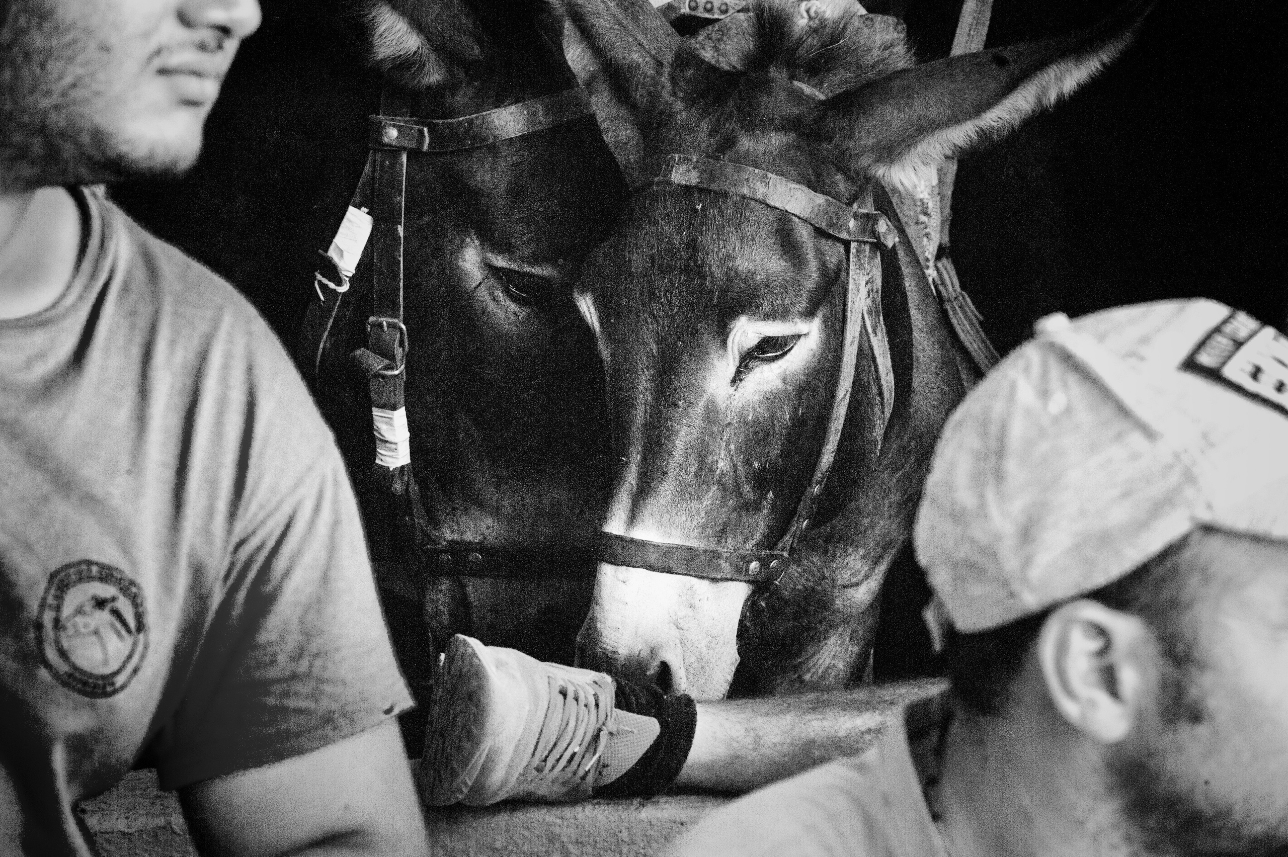 Монохром. Фотограф Милена ЯновскаяМеня зовут Милена Яновская. Я фотограф и автор арт-фототерапевтических проектов