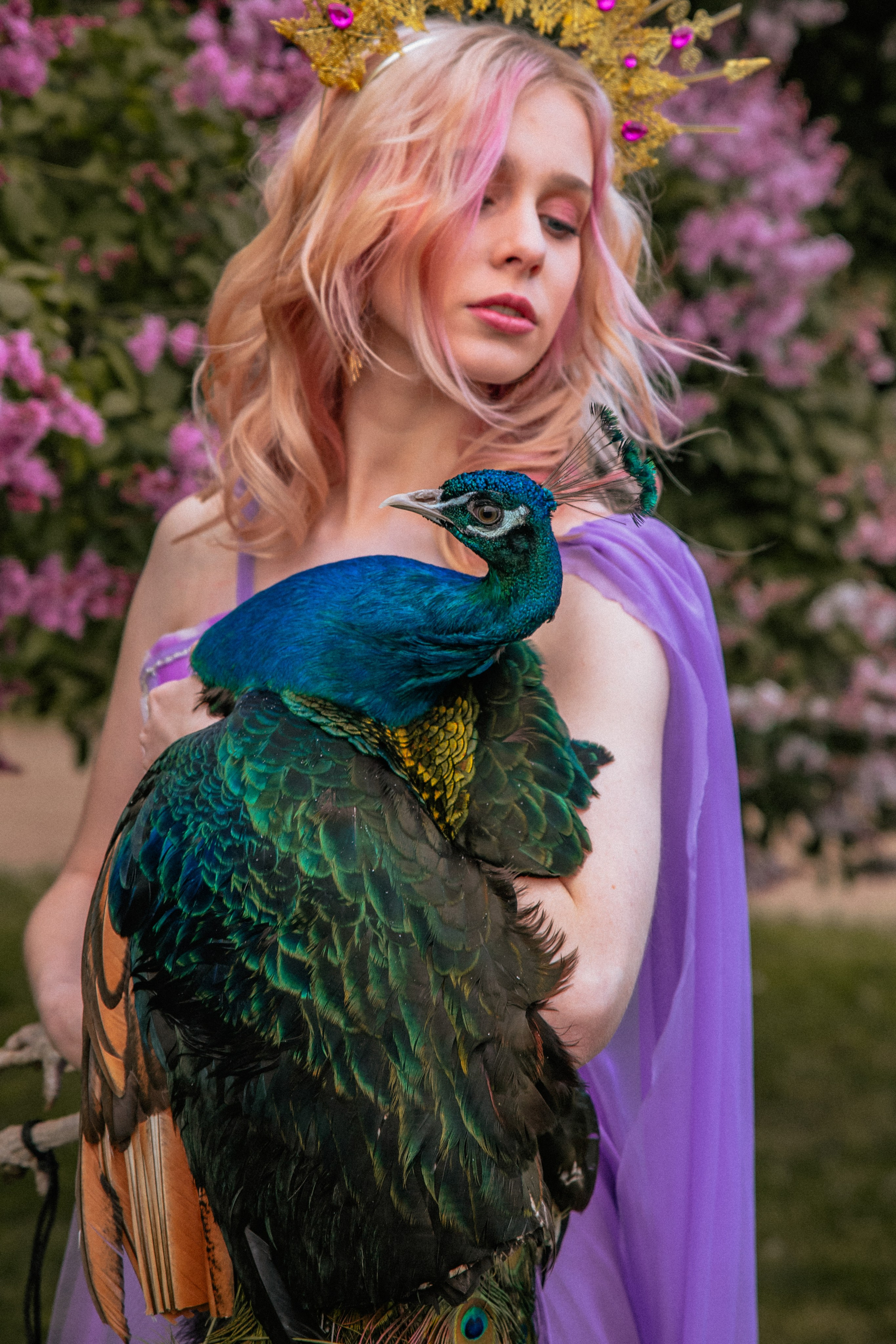 Павлин. Elena Sova — семейный и женский фотограф в Санкт-Петербурге