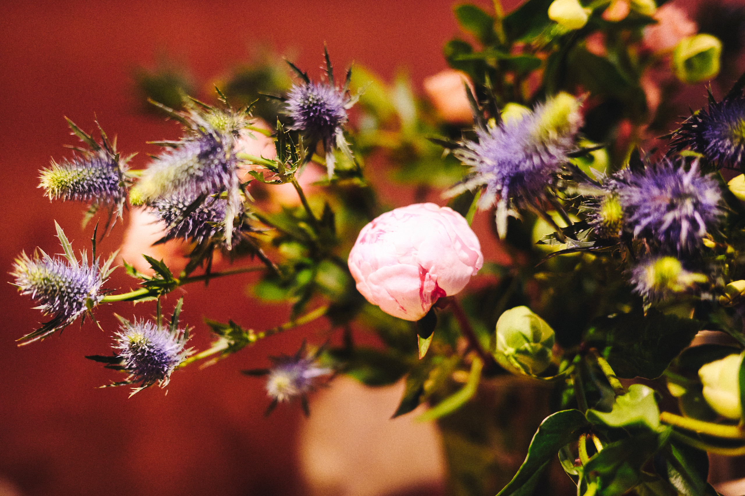 Bureau. May the numbers guide us