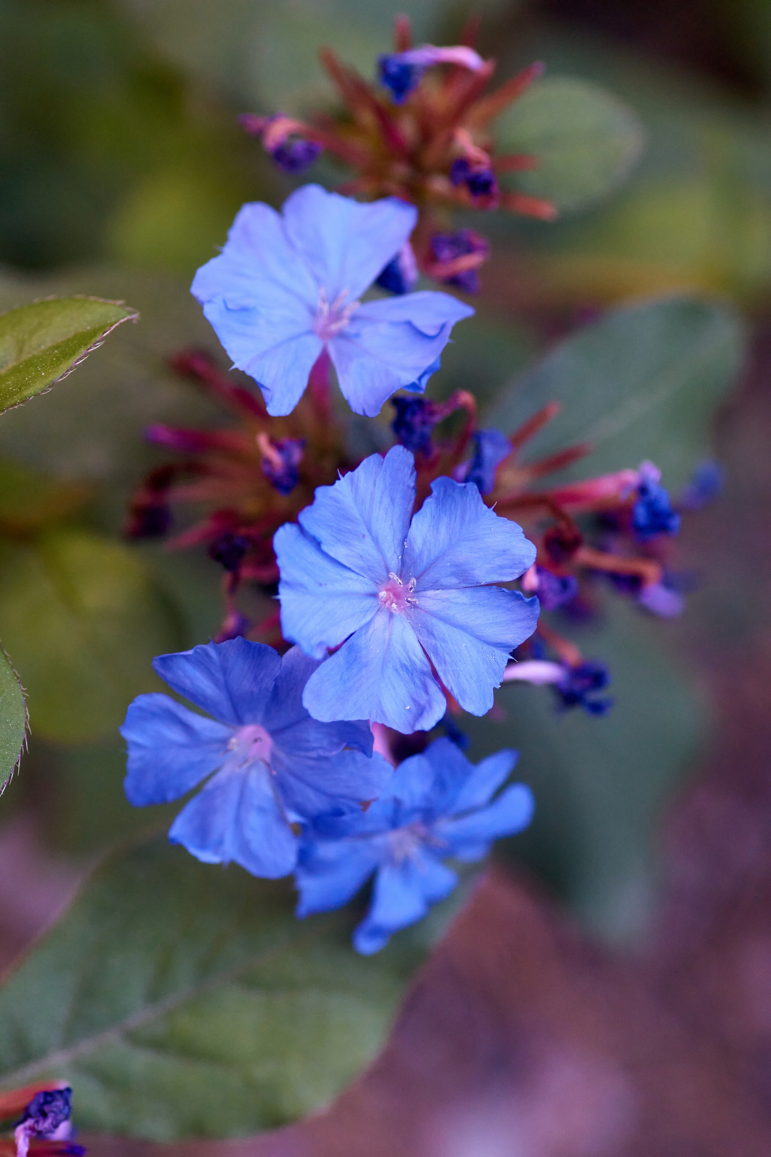 Ялта. Крым. Фотограф Владимир Артамонов