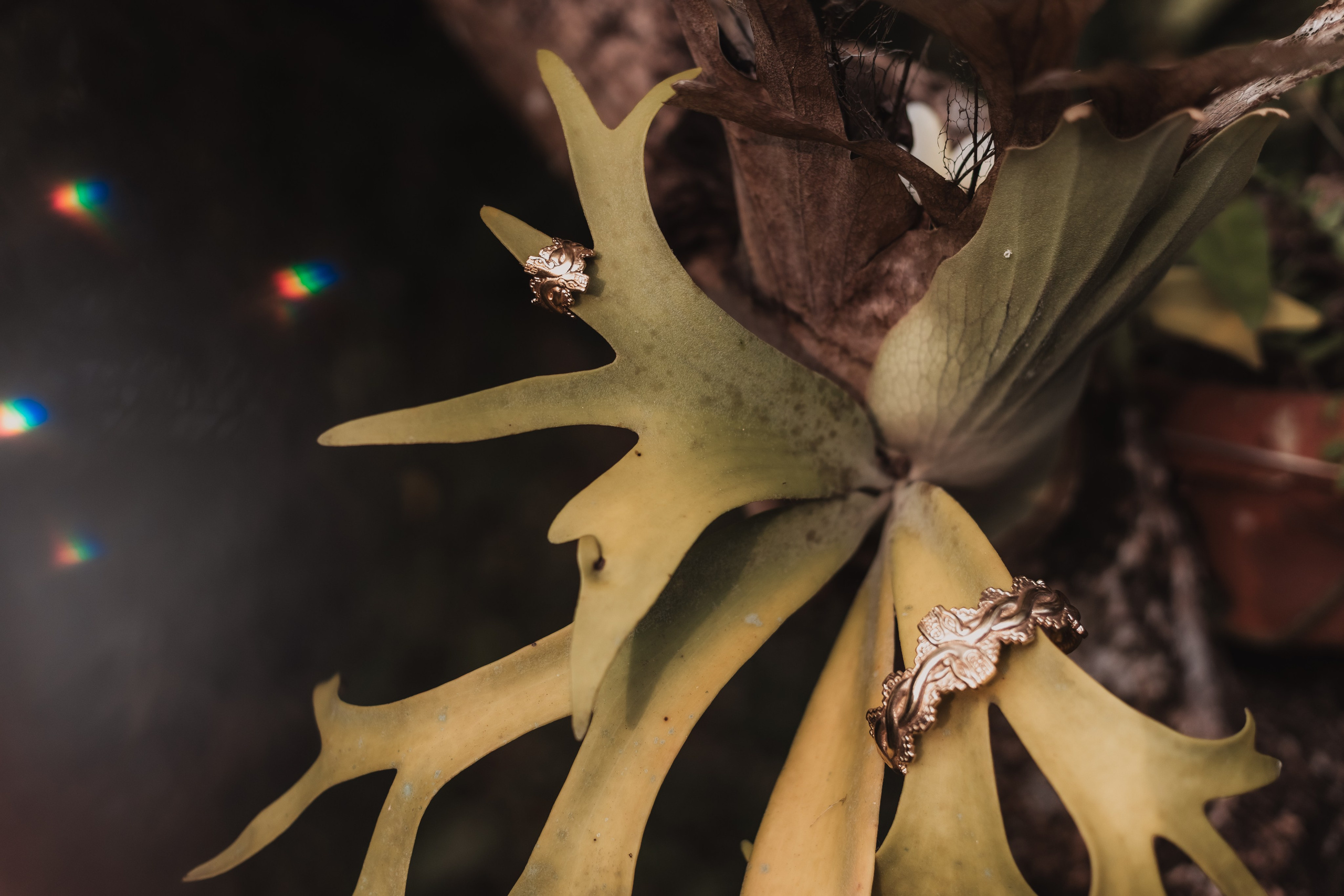 Pao and her collection. Mariam Bagdasaryan