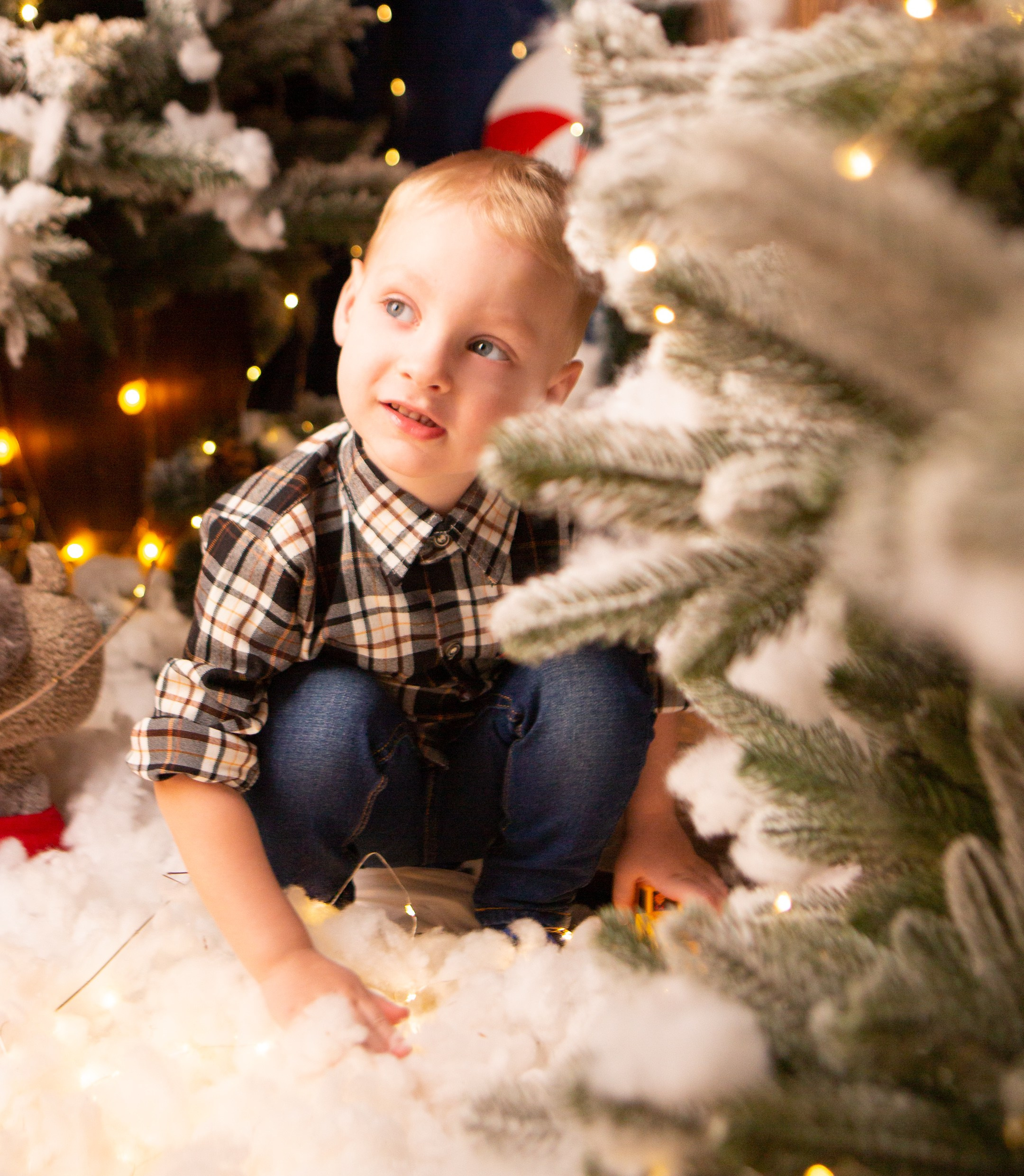 Декабрь 2023. Фотограф Тверь|Москва|Волоколамск| Отт Кристина