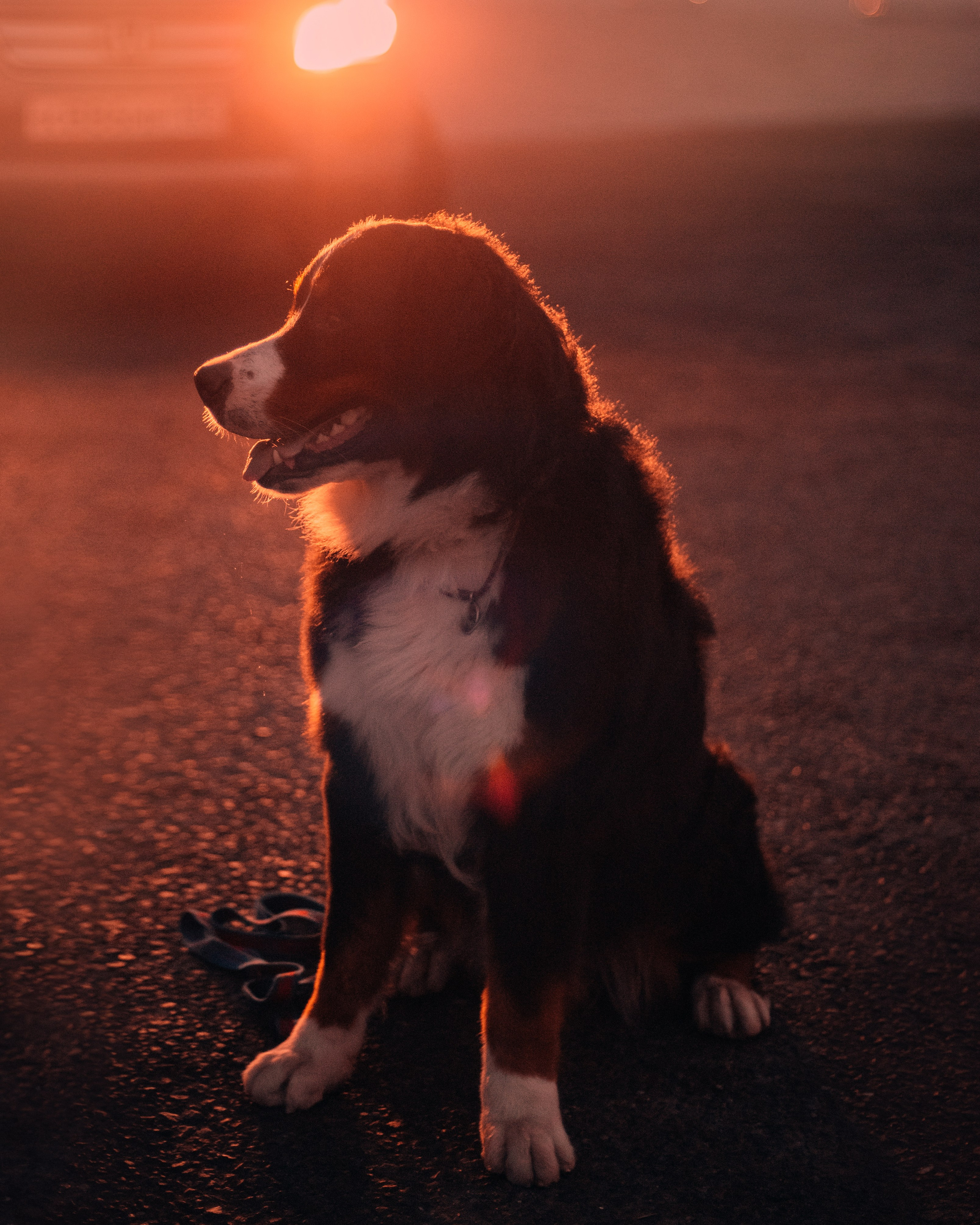 Владивосток: Марс и Маша. Портфолио