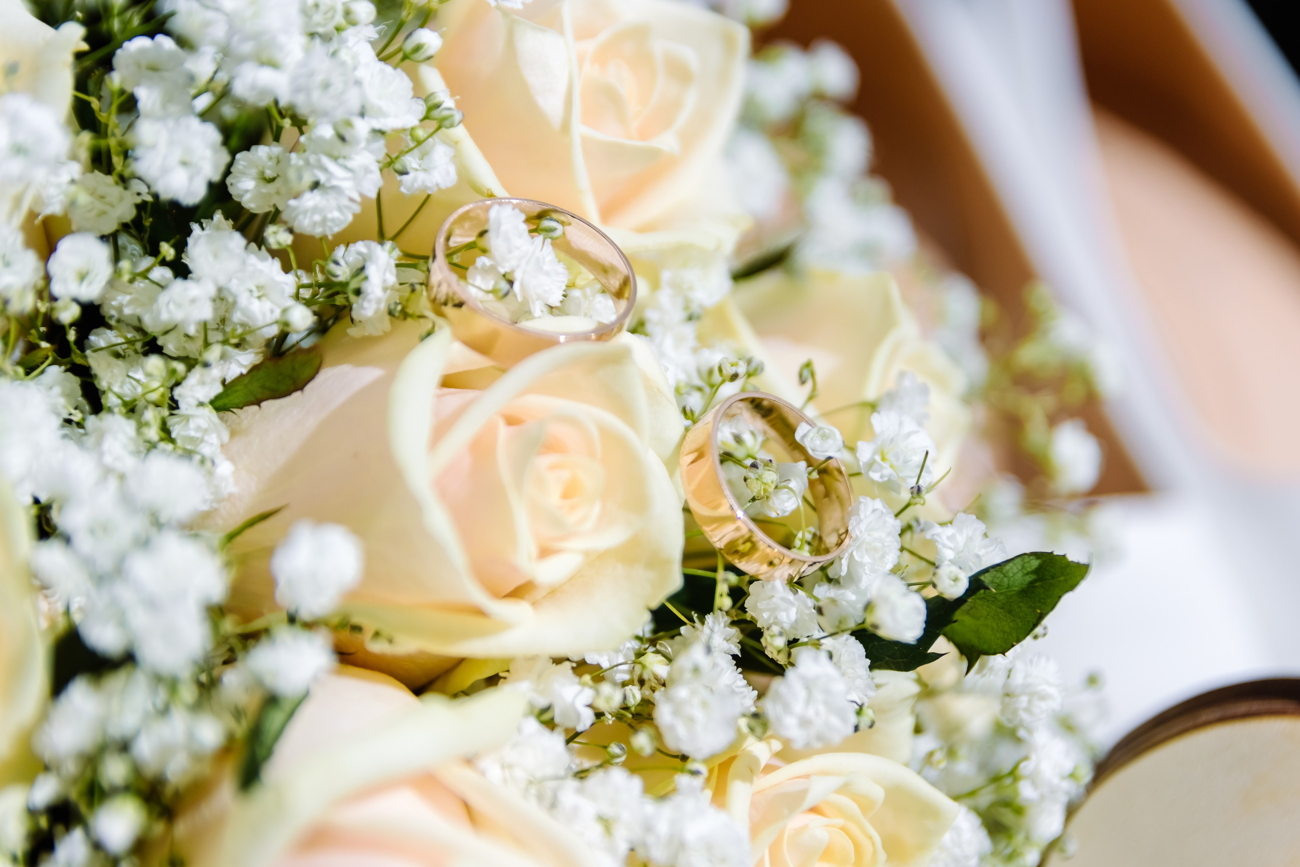Wedding day 9.09.2023. Фотограф Видеограф