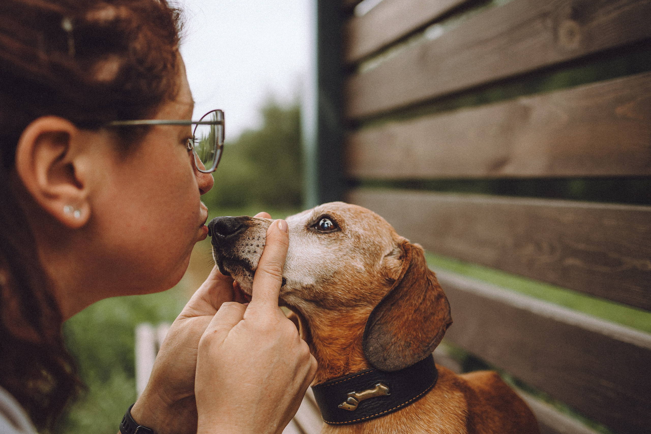 Груша, Данни, Фунтик и их семья