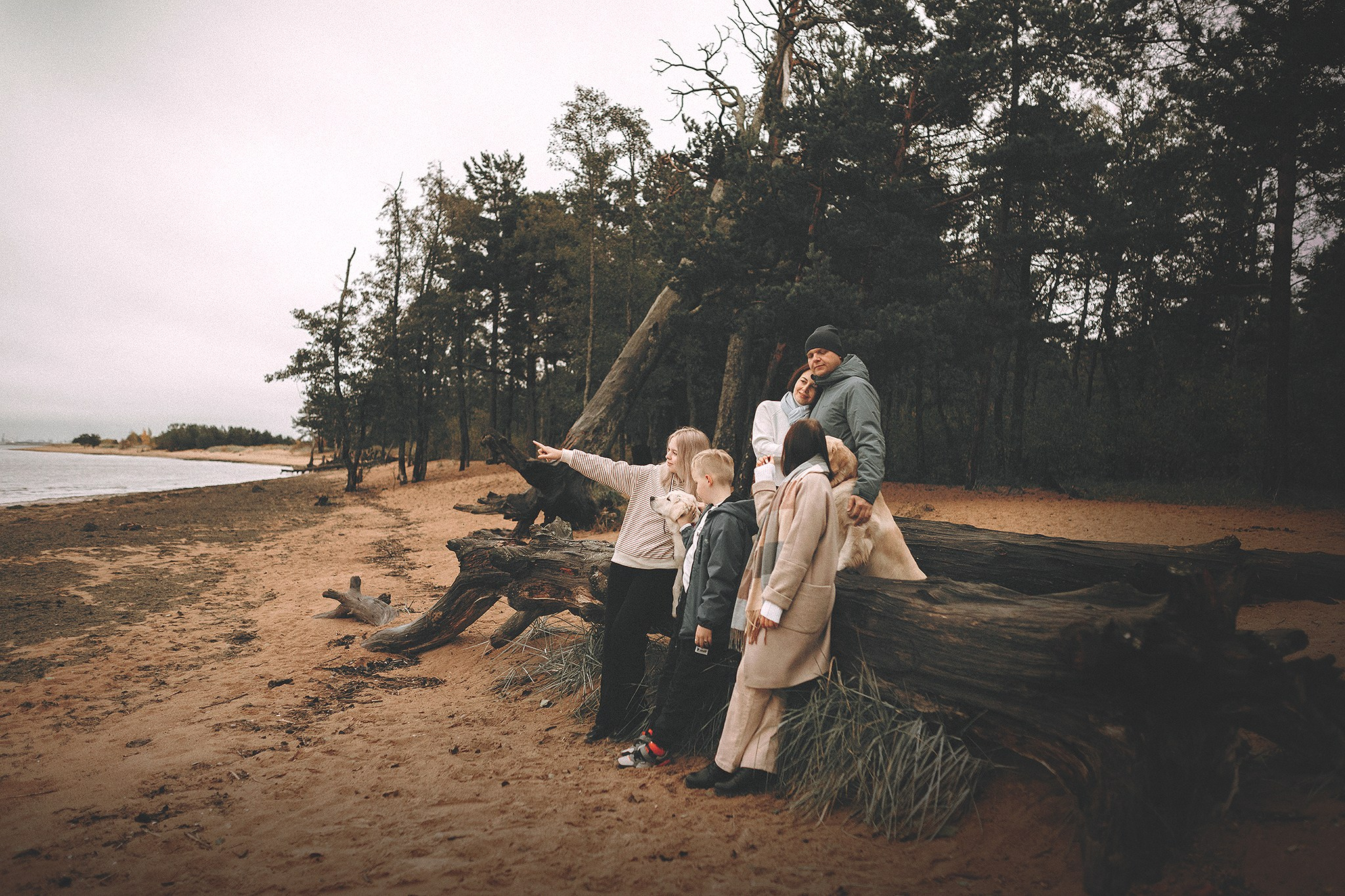 Барли, Фортис. Фотограф-анималист • love-story • Санкт-Петербург