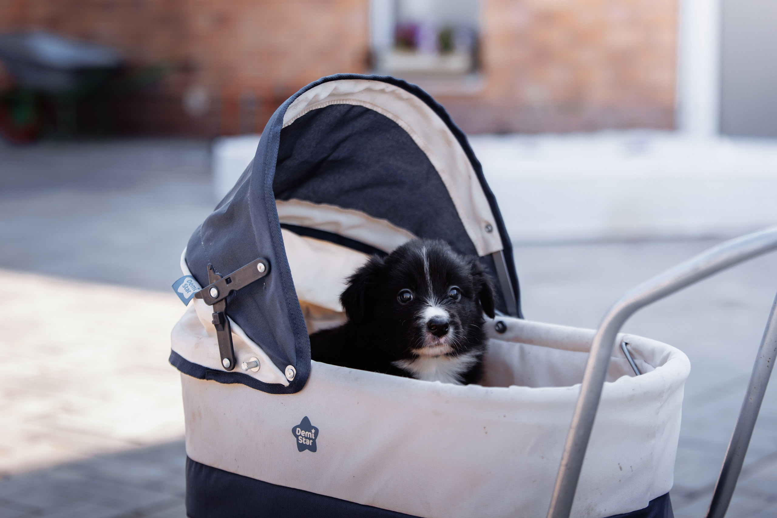 МММ — маленькое мягкое милое. О нас