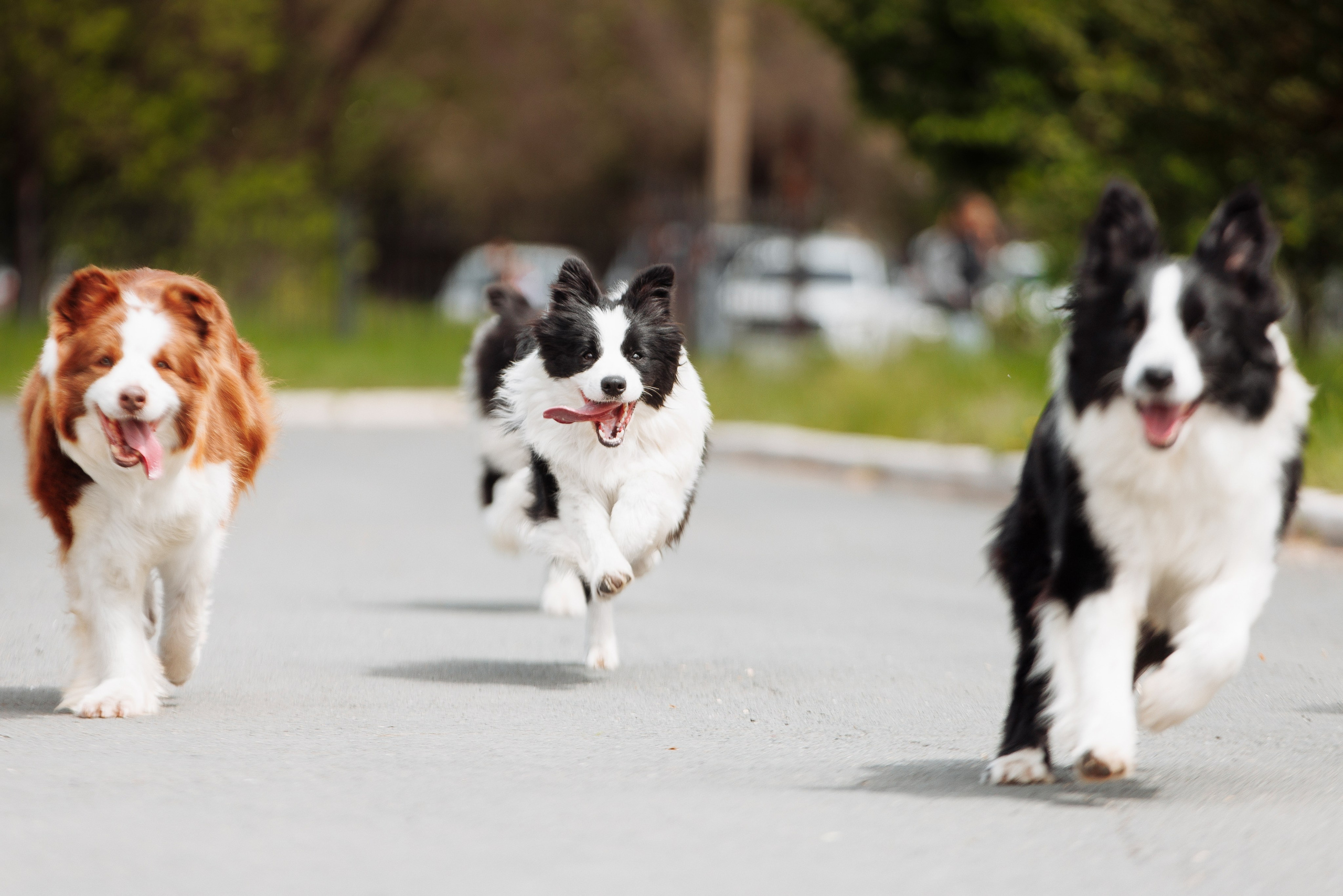 Такой разношерстный Орск 25. О нас