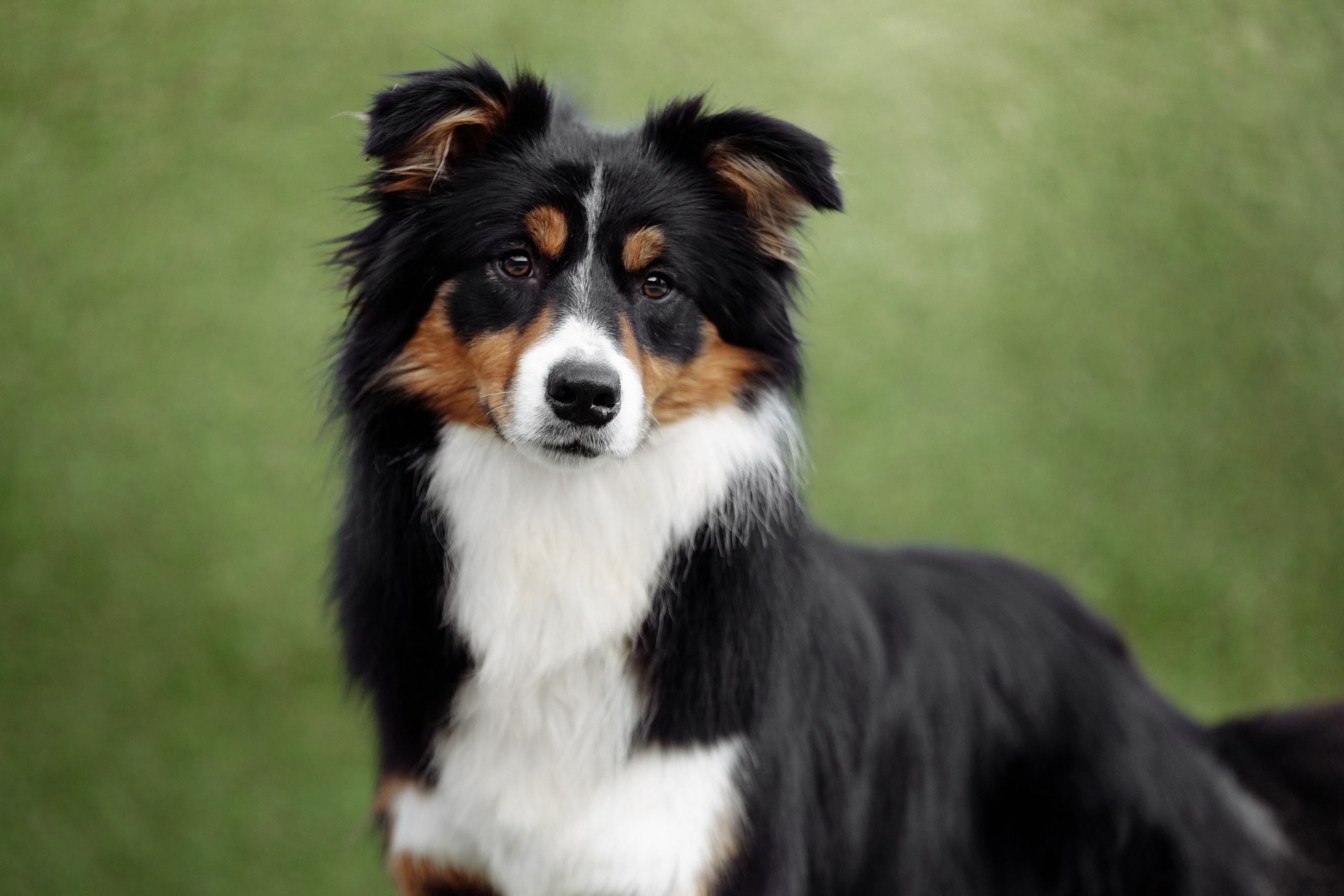 Свое место. О нас