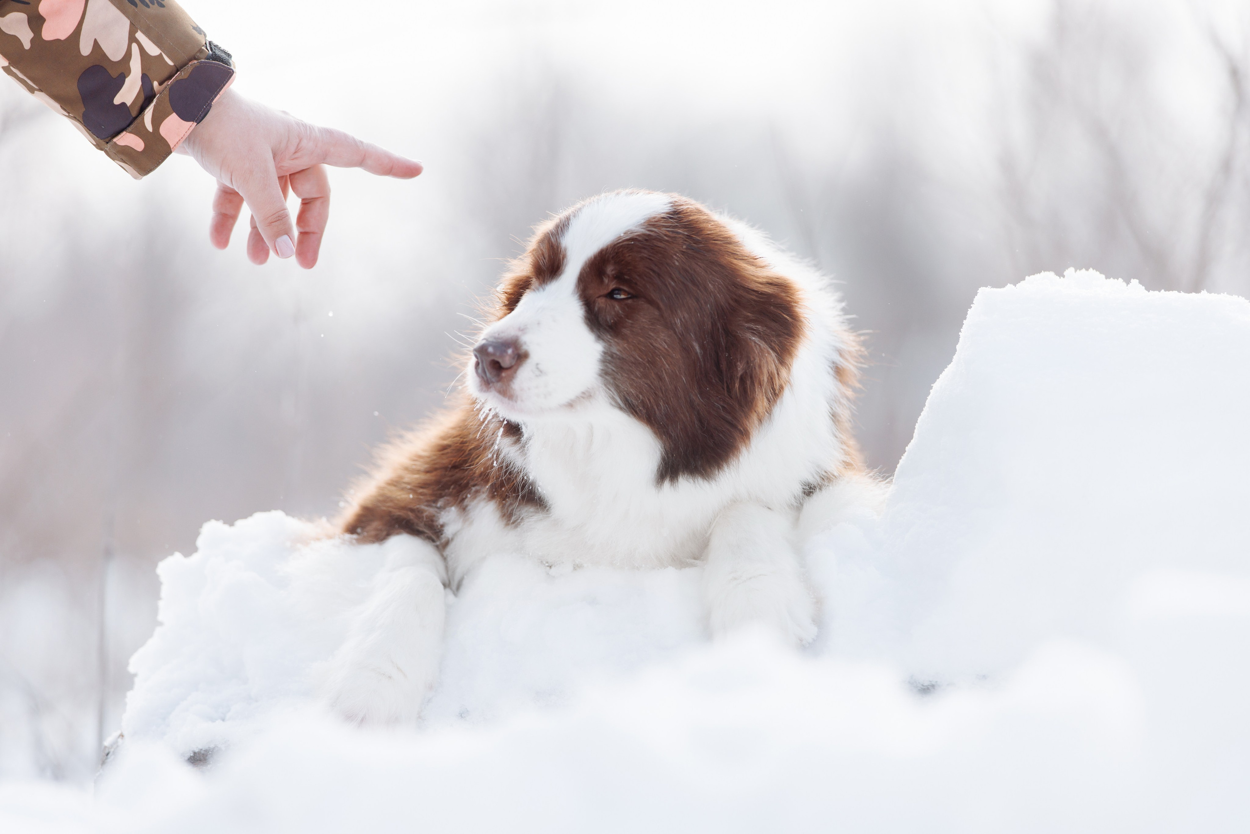 Яркий январь. О нас