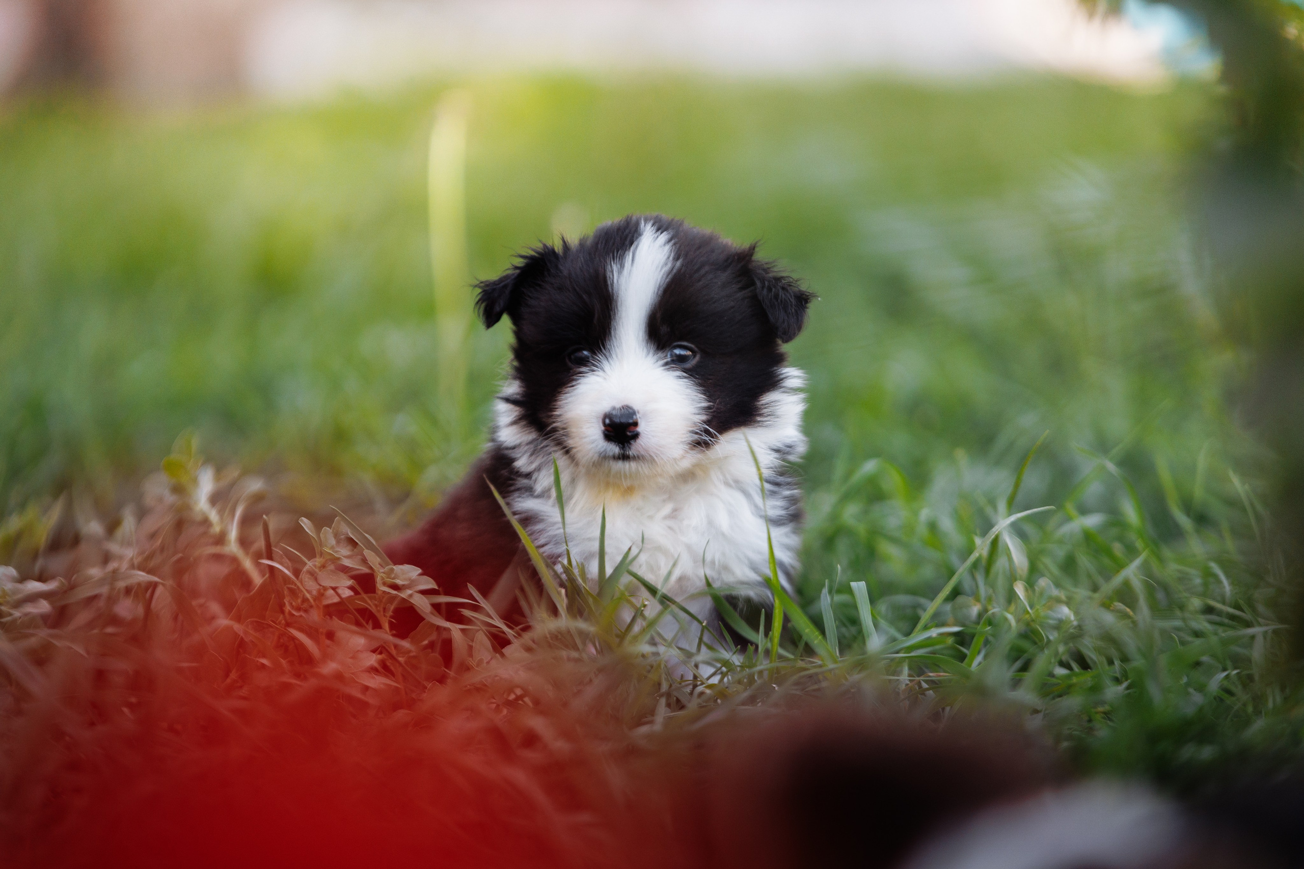 МММ — маленькое мягкое милое. О нас