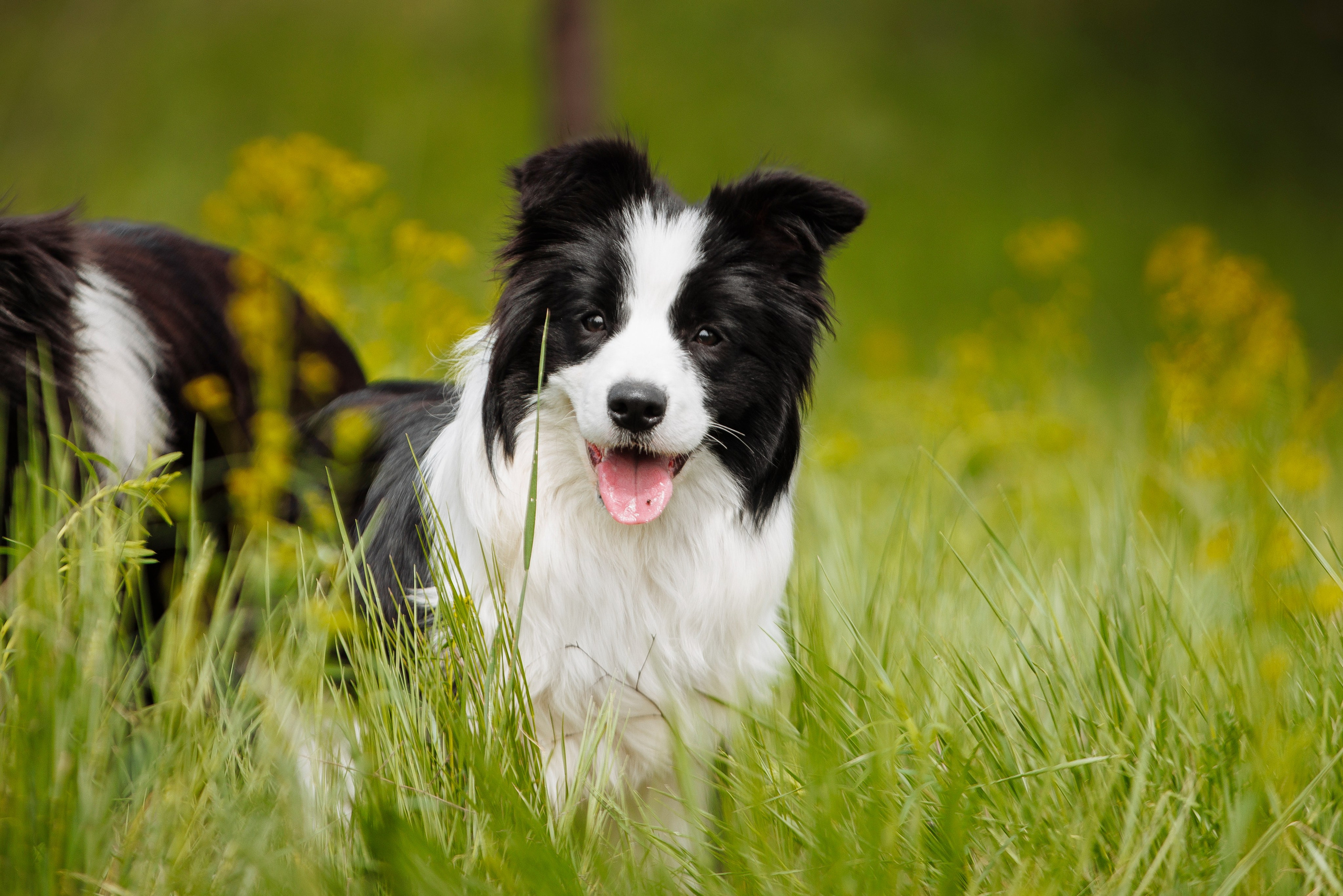 Такой разношерстный Орск 25. О нас