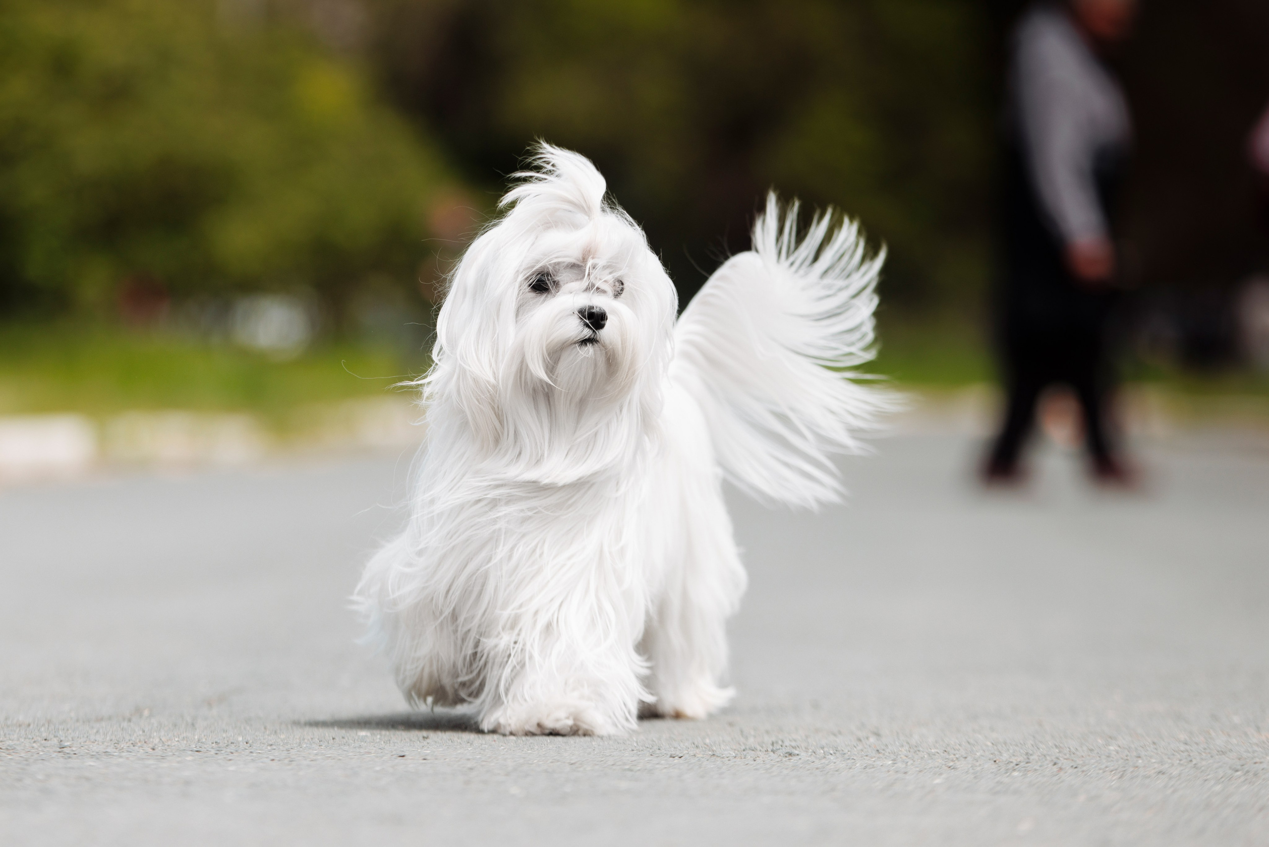 Такой разношерстный Орск 25. О нас