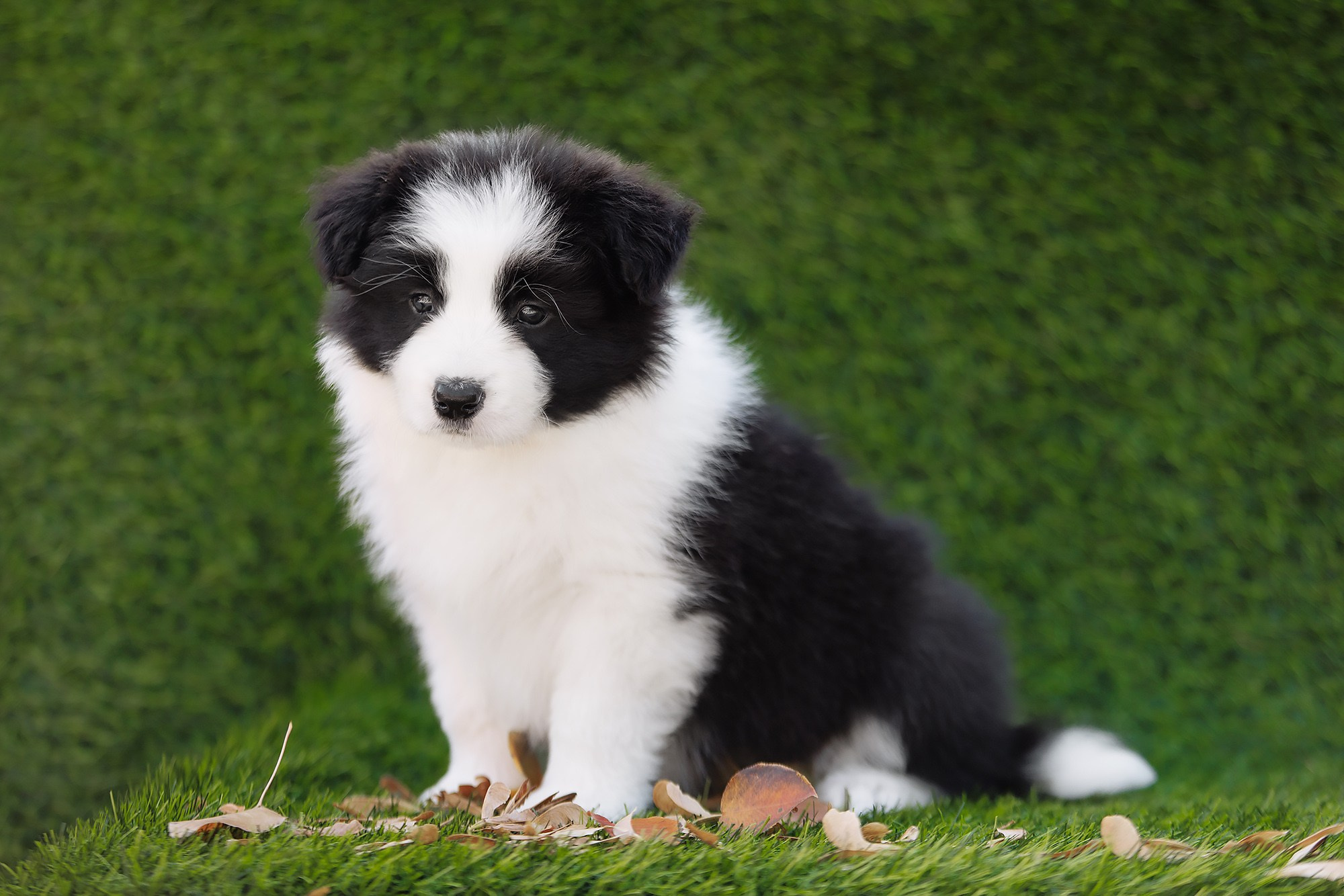 Новый лист. О нас