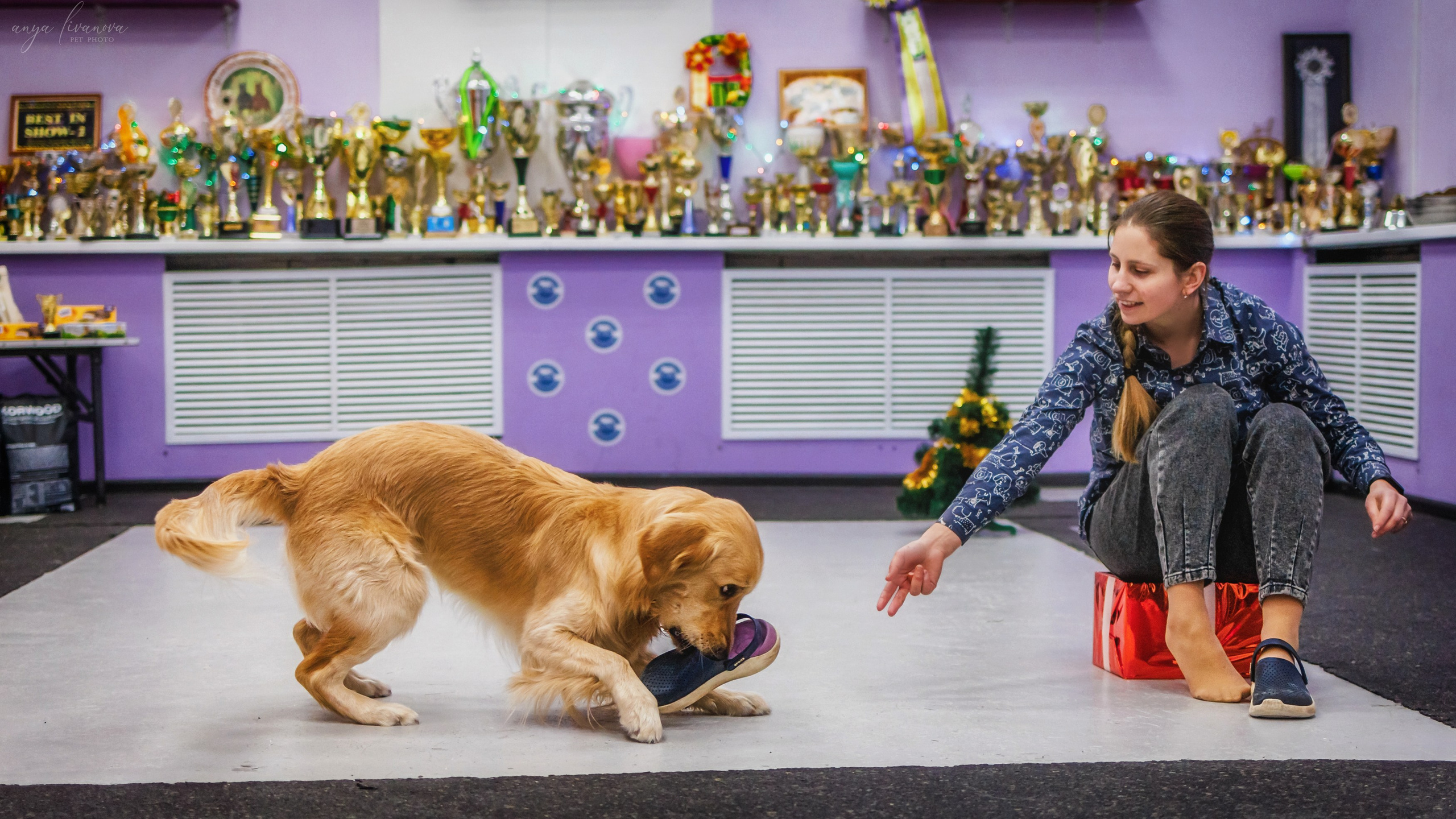 НГ конкурсы в «Simply the Best». Фотограф анималист Аня Ливанова | Рыбинск