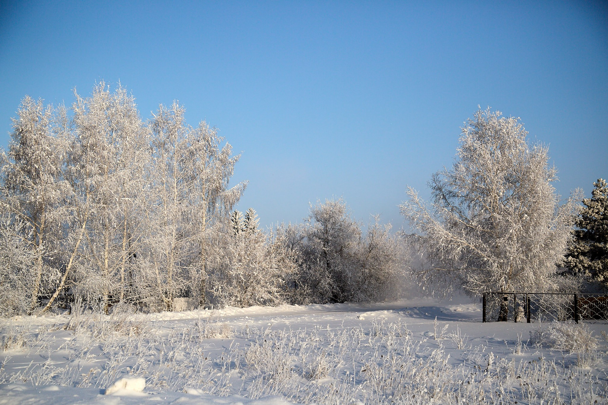 Предновогодняя сказка. Фотограф Омск | Александр Вандеров