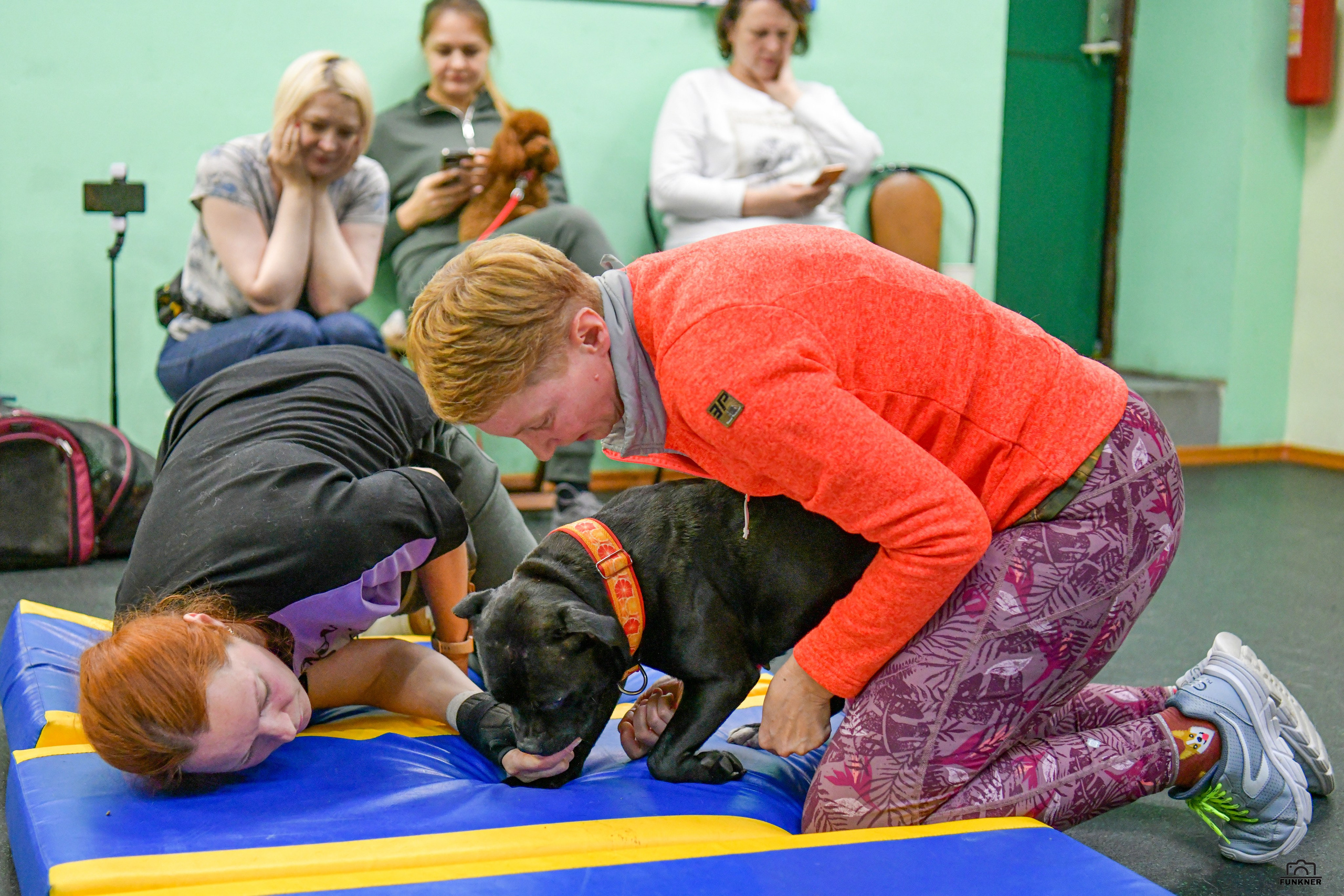 Кинологический клуб «Бодрый хвост». Свой взгляд через объектив