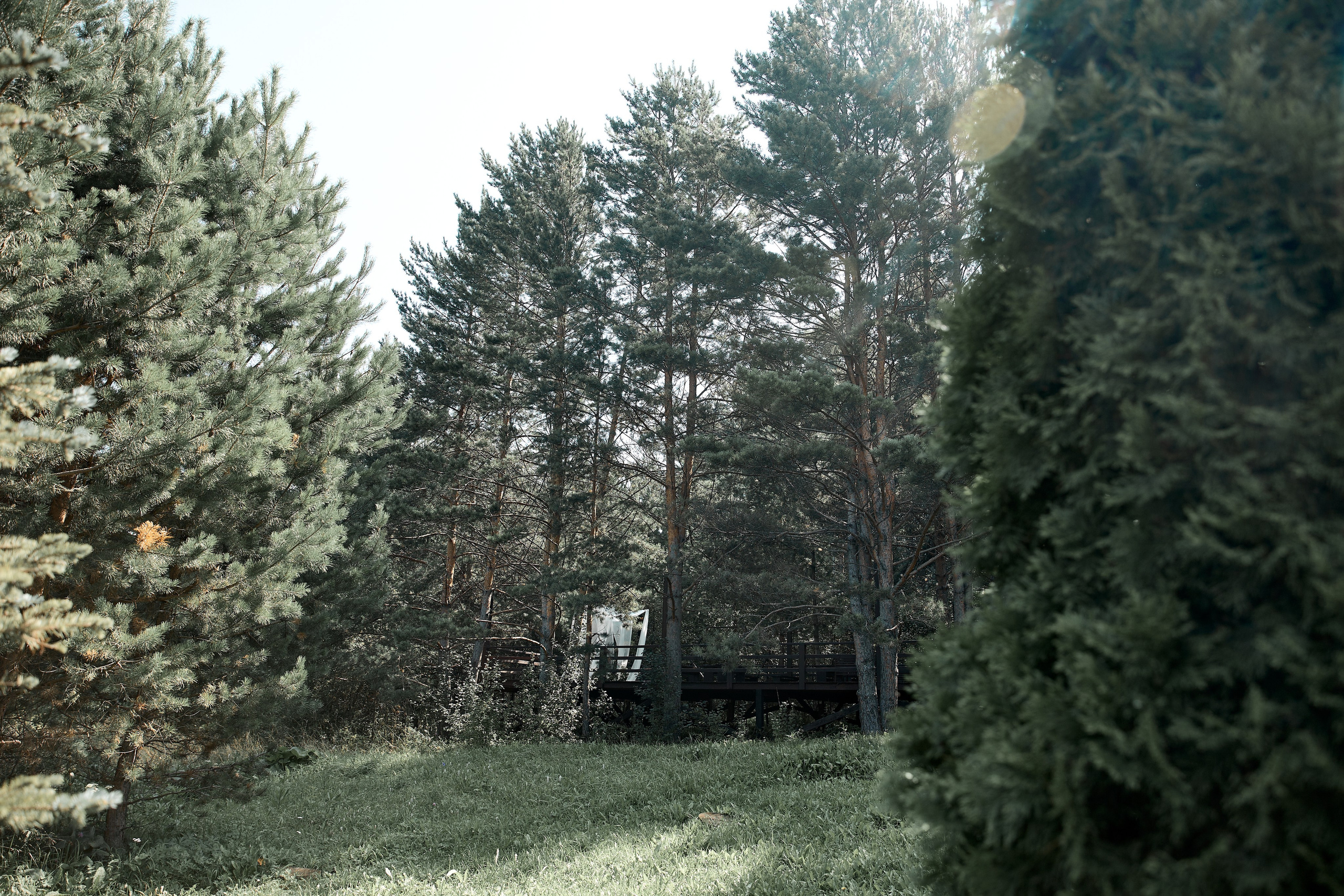 Все про нас. Свадебный фотограф в Красноярске Владимир Ятмасов