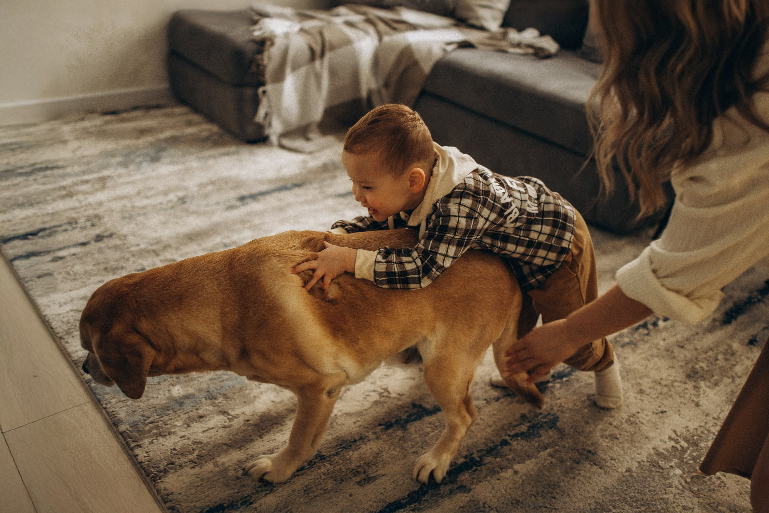 Мохнатое счастье