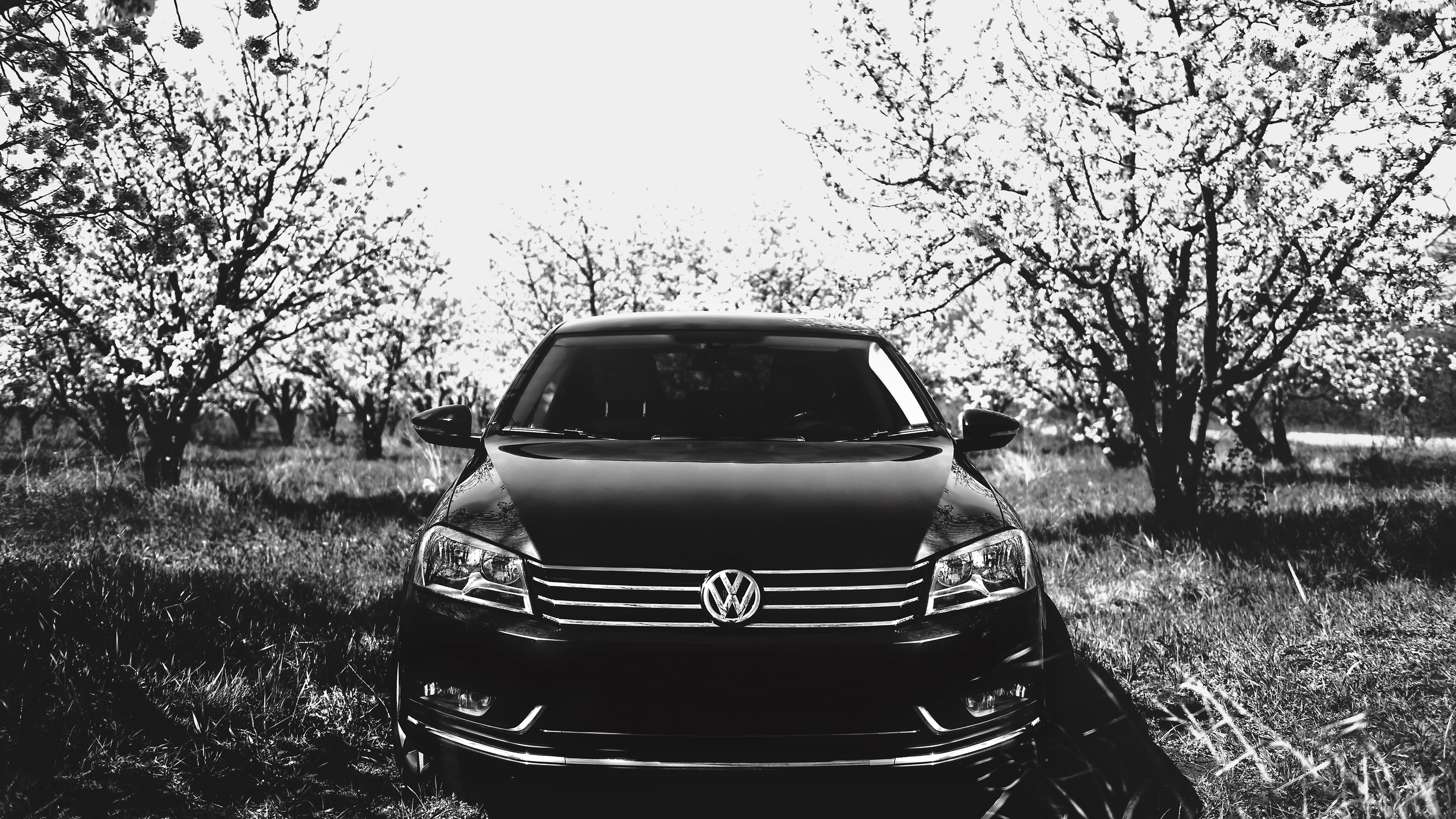 Автомобильная съёмка. Свадебный фотограф в Крыму Александр Богомазов