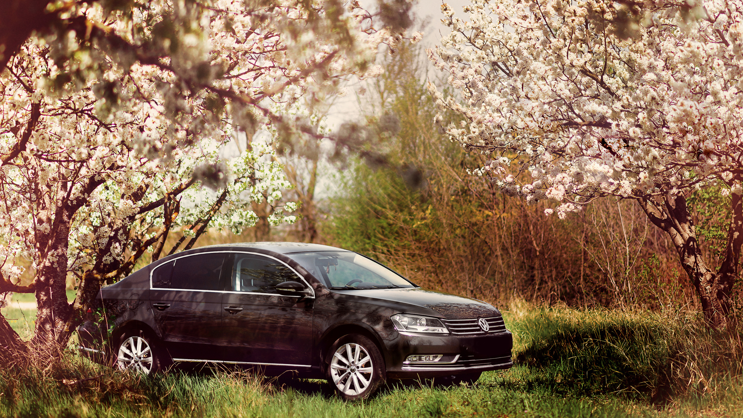 Автомобильная съёмка. Свадебный фотограф в Крыму Александр Богомазов