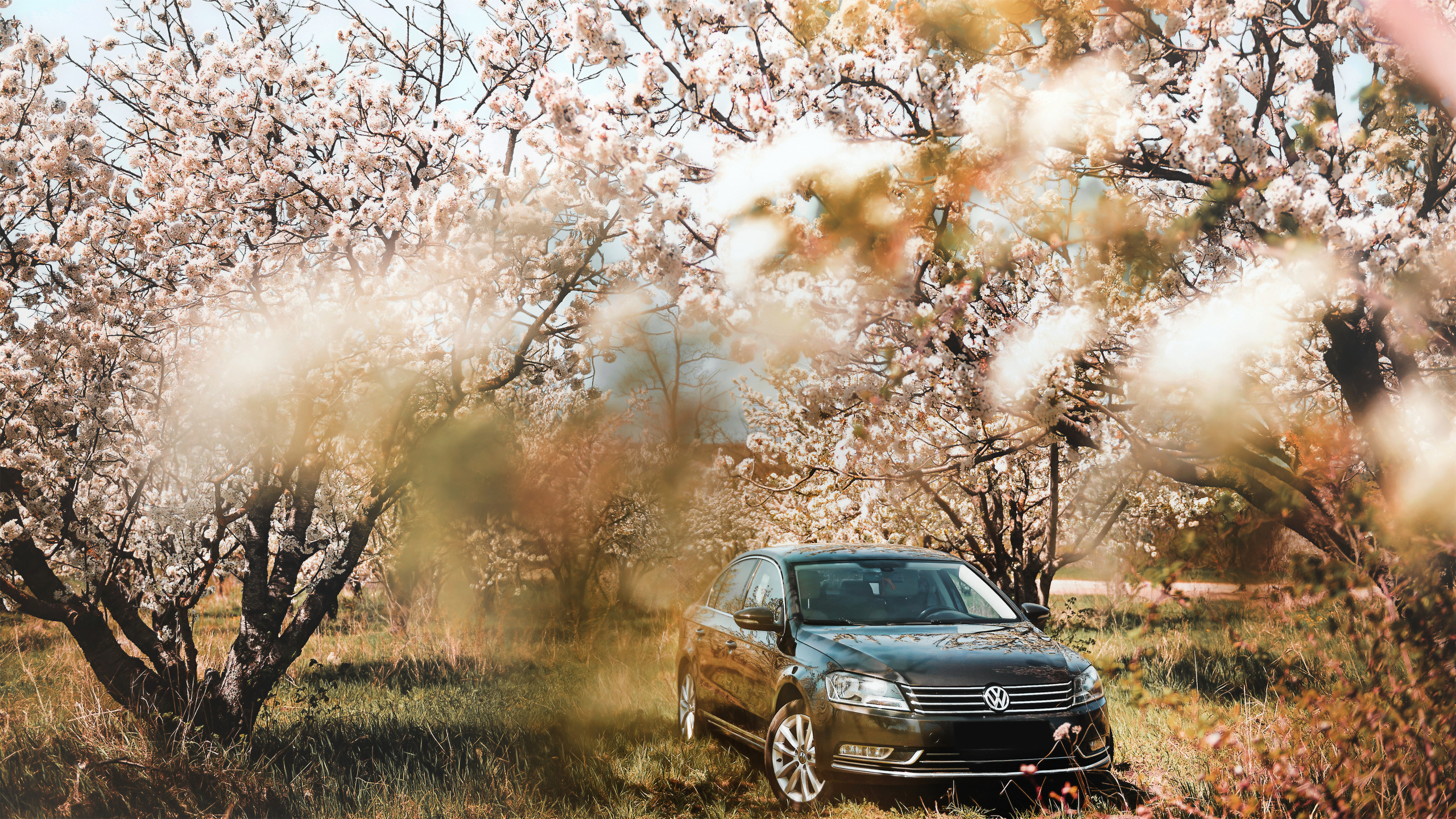 Автомобильная съёмка. Свадебный фотограф в Крыму Александр Богомазов