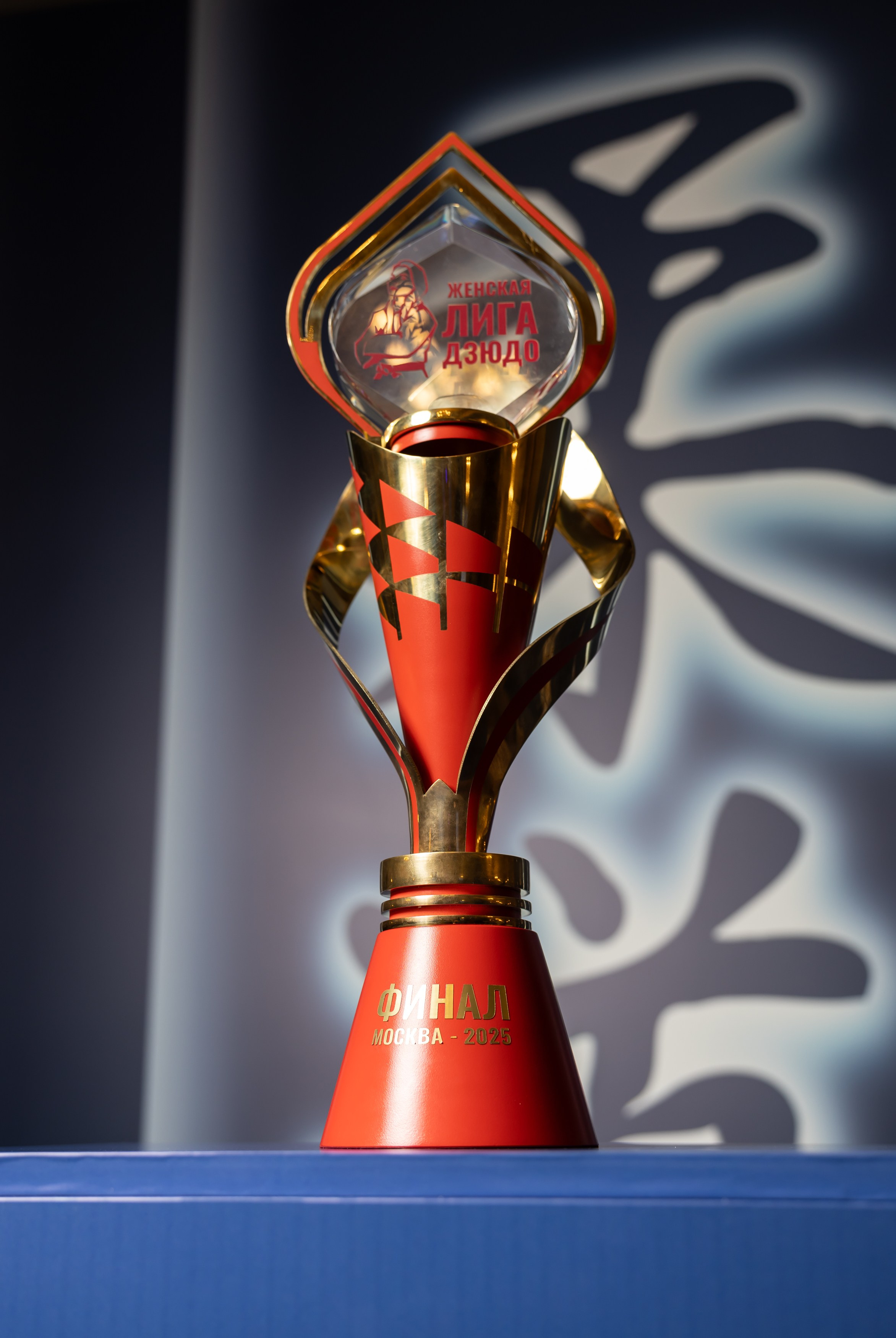 Гала-ужин федерации дзюдо с губернатором области. Фотограф свадебный, репортажный, индивидуальный, фото для маркетплейсов, брендов, автосалонов