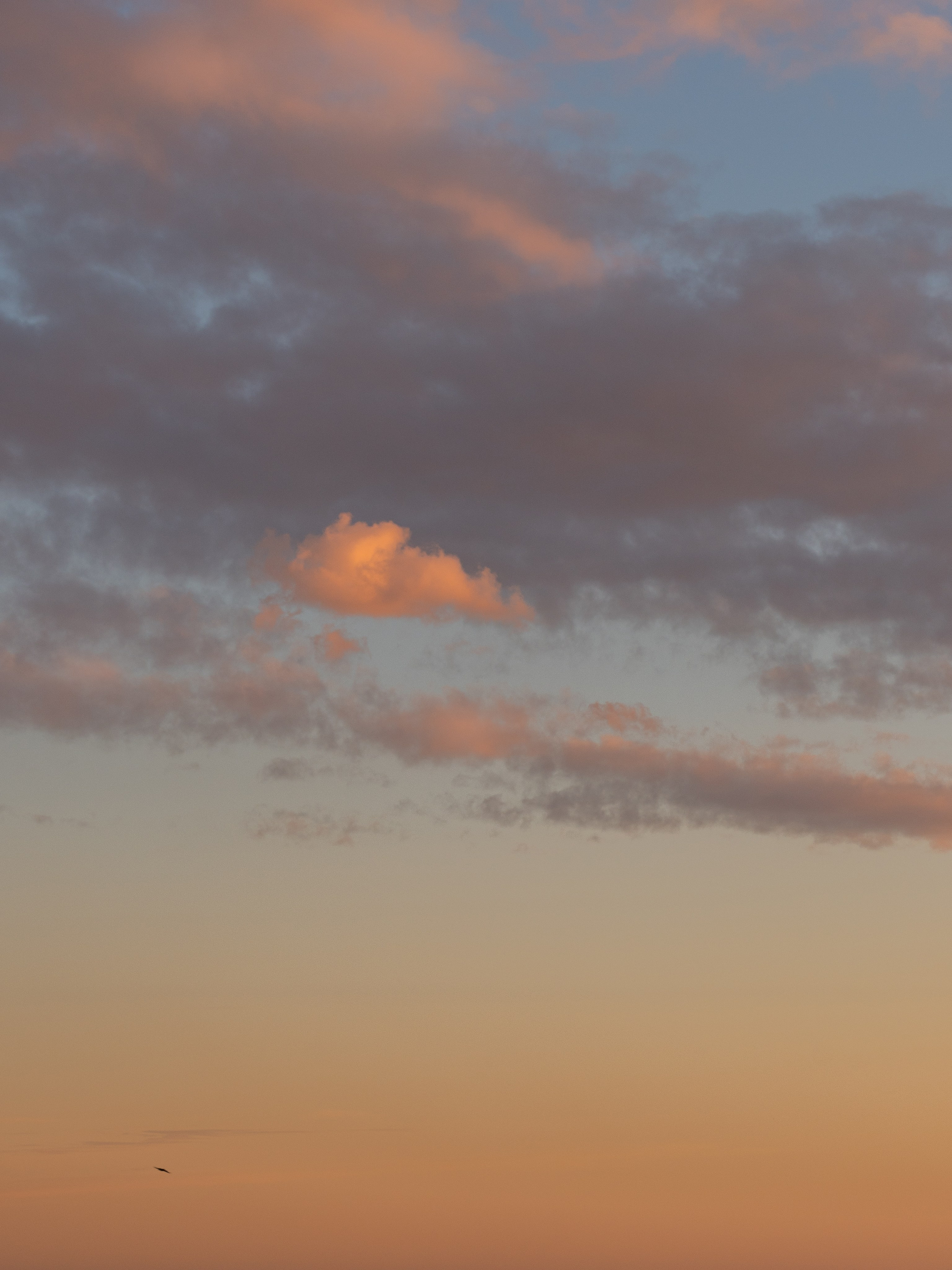Свадебный фотограф Москва. Истории любви и семейные съёмки. ФОТОГРАФ Любовь Скок. Москва