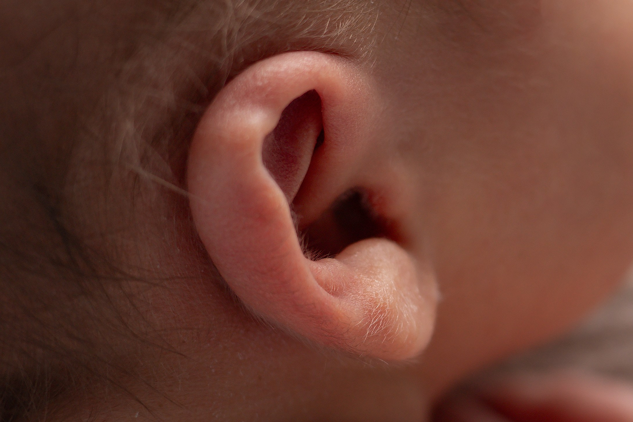 Фотосессия новорожденных в Ижевске. Фотограф новорожденных в Ижевске Анастасия Преснякова