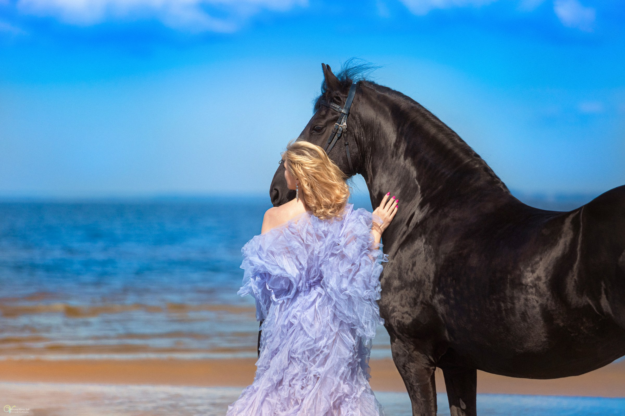 Фотосессии с лошадьми летом. Фотограф женский и мужской портрет Санкт-Петербург