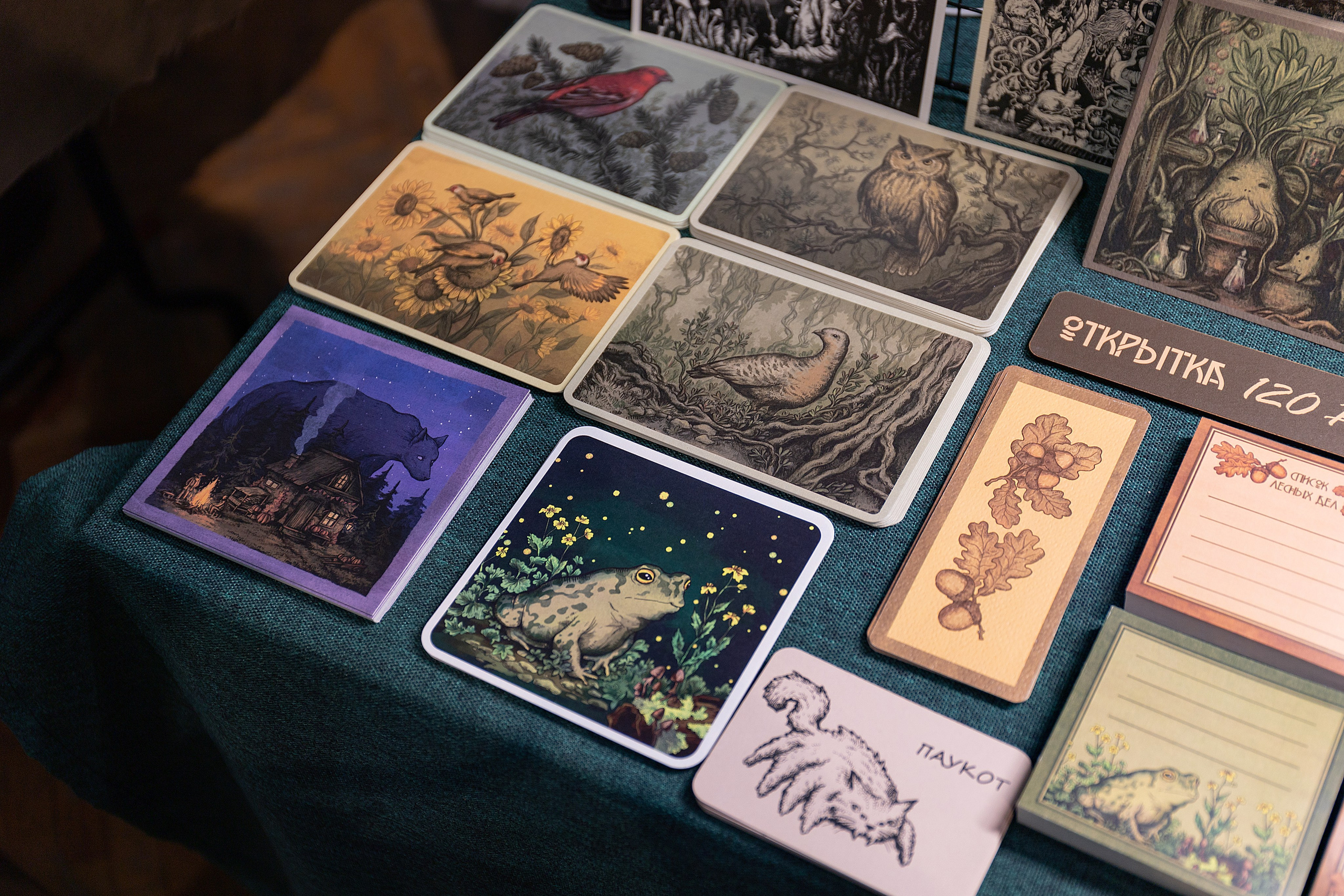 Столкон | Санкт-Петербург, 2025. Репортажный фотограф