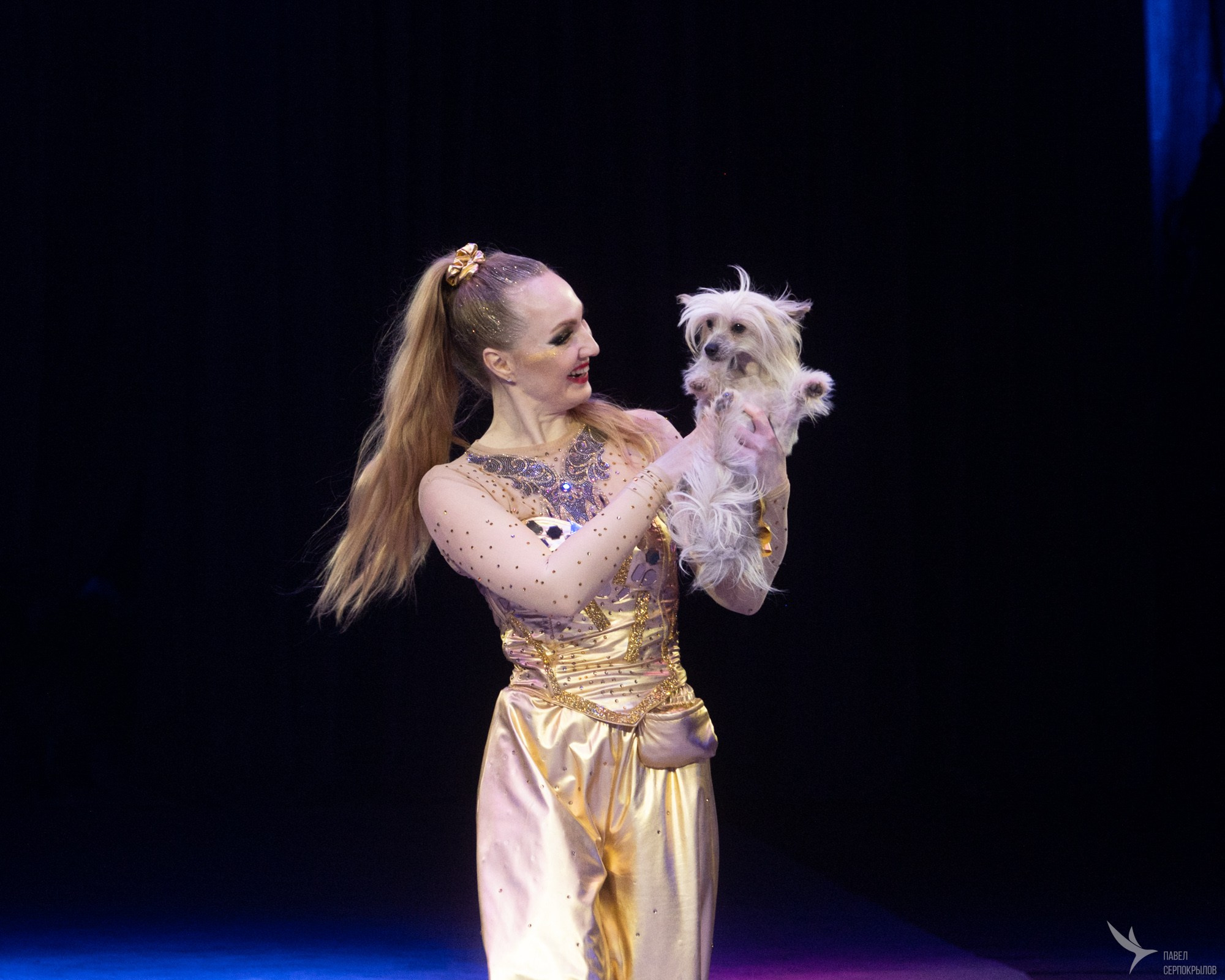 Гала-представление ЭВОЛЮЦИОНЕРЫ. Репортажный фотограф в Казани Павел Серпокрылов