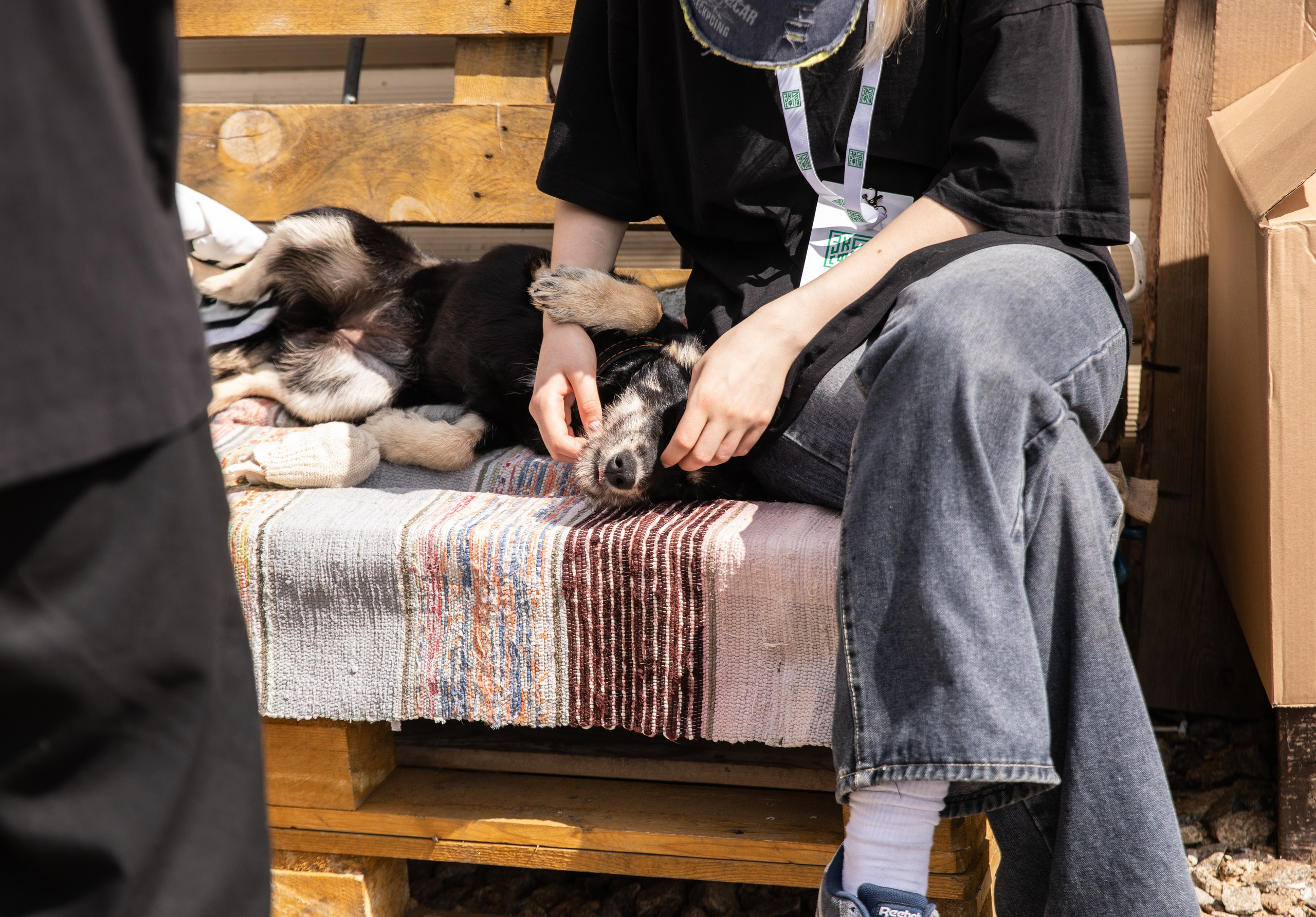 Приют — Наш дом. Репортажный и свадебный фотограф в Челябинске Елисеев Павел